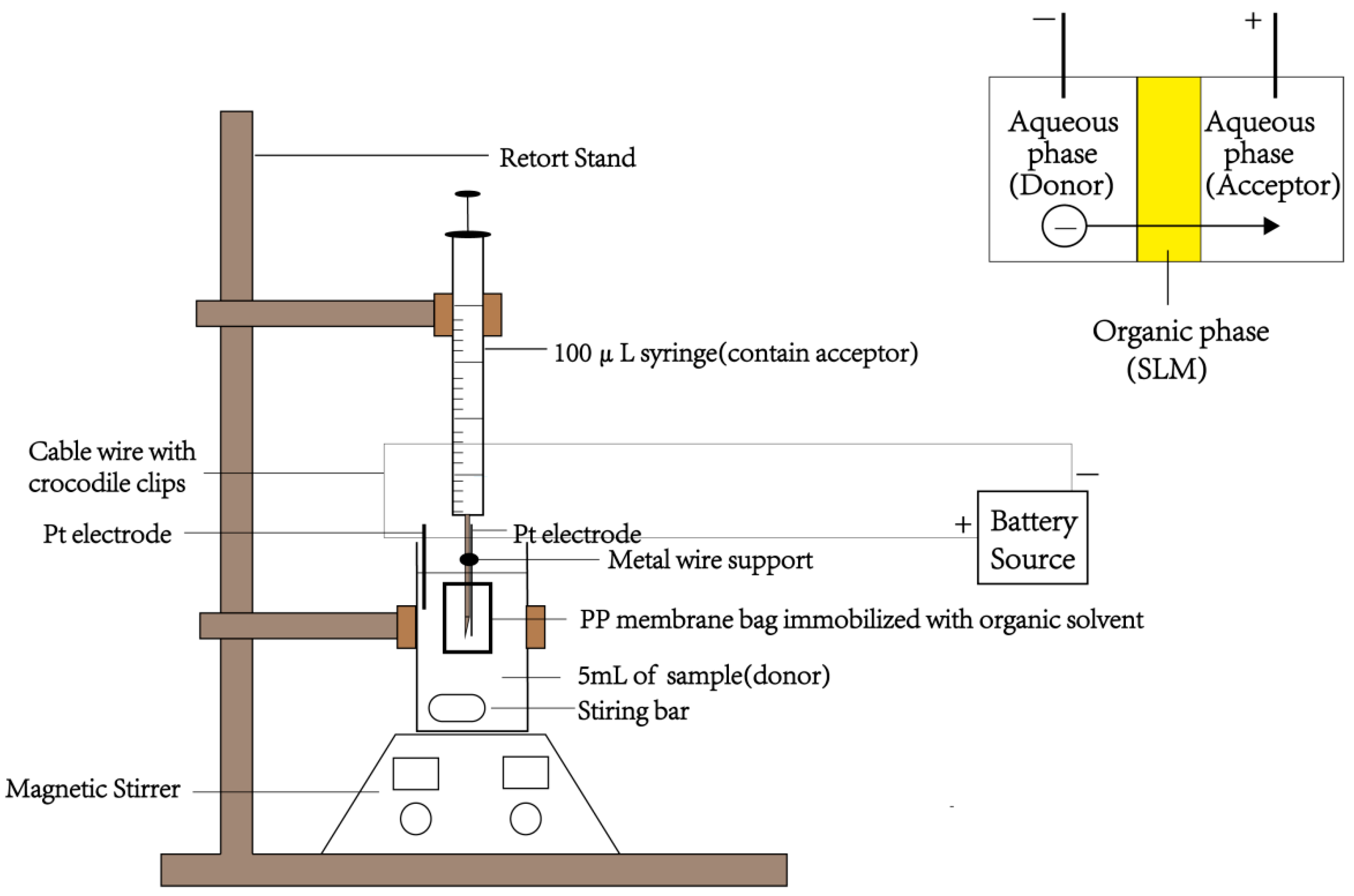 Molecules 28 07122 g003