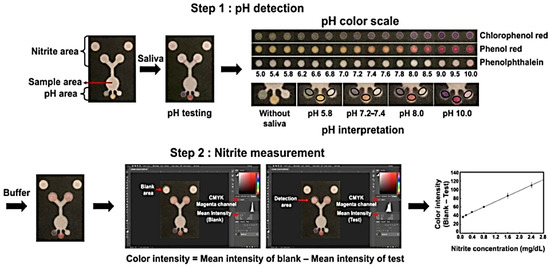 Nitrate Api Color Scale Examples Advancements in Preprocessing and Analysis of Nitrite and Nitrate since ...