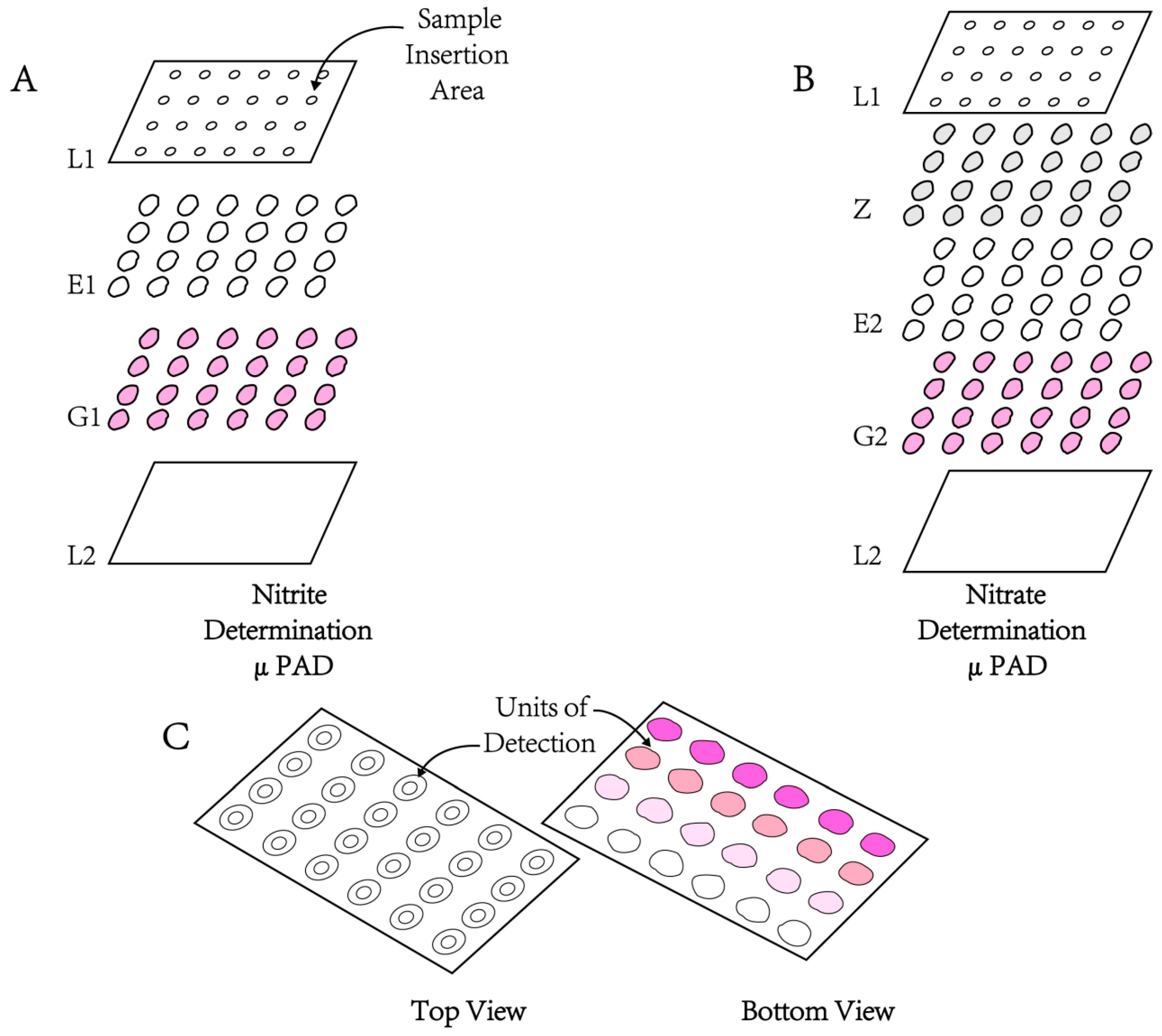 Molecules 28 07122 g012