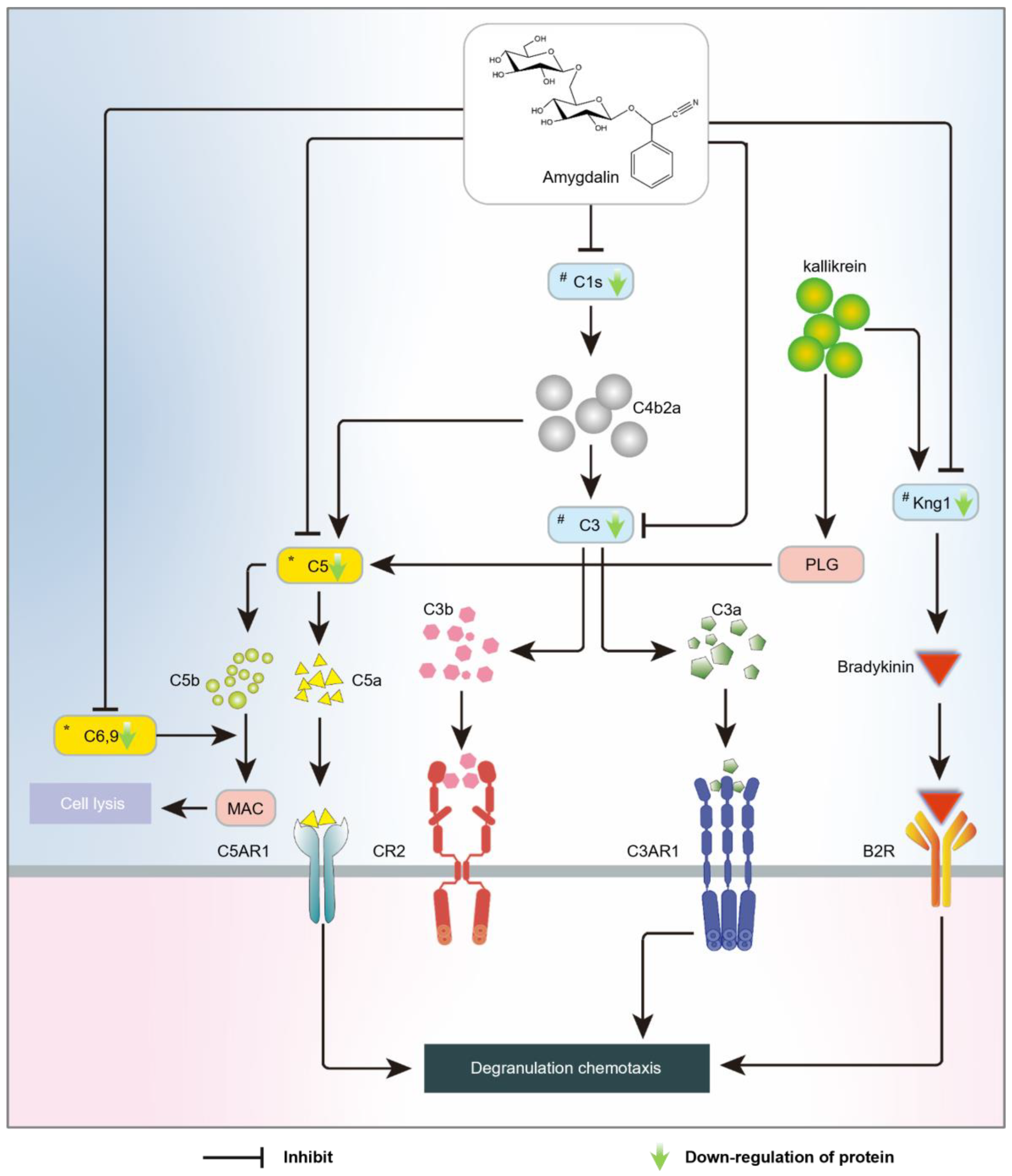 Molecules 28 07126 g007
