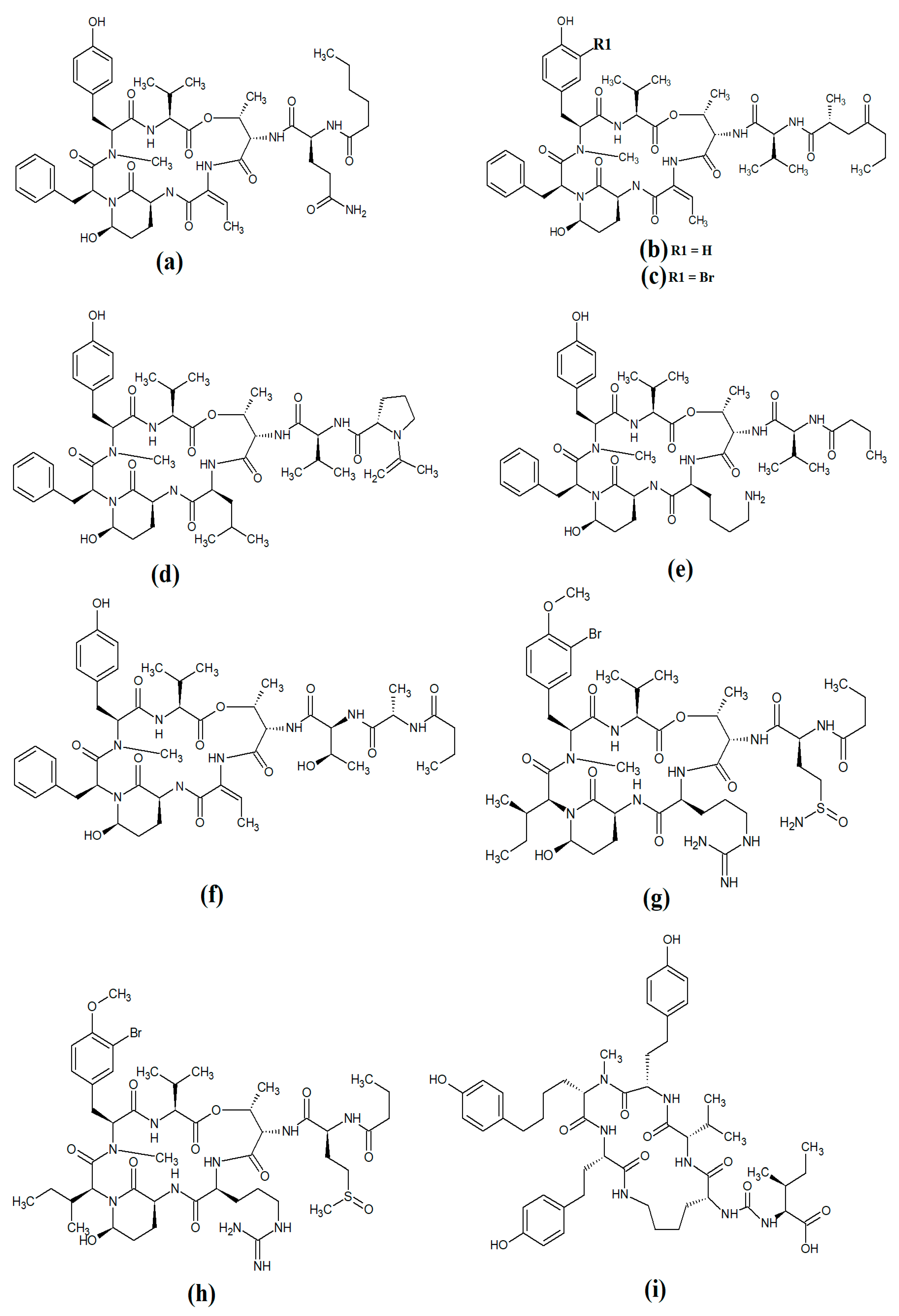 Molecules 28 07127 g012