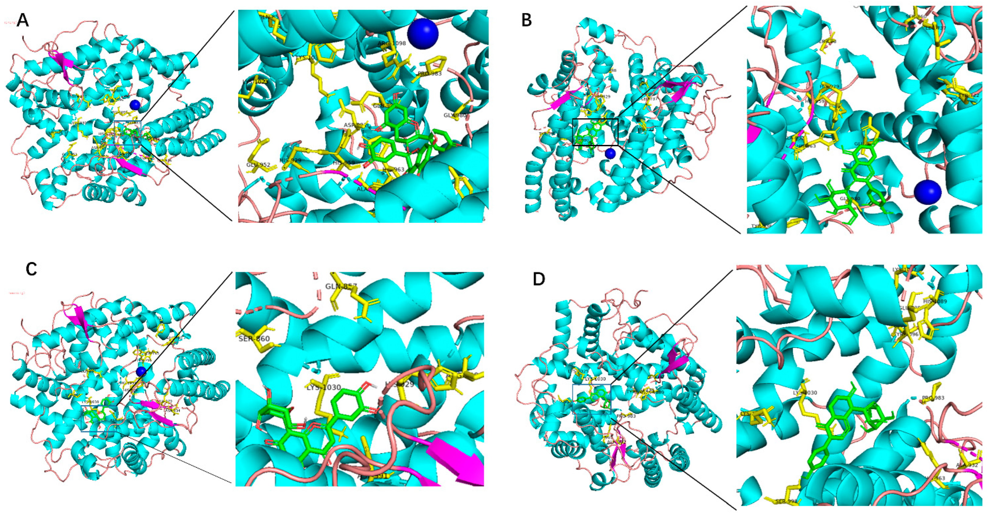 Molecules 28 07131 g001 Molecules 28 07131 g001