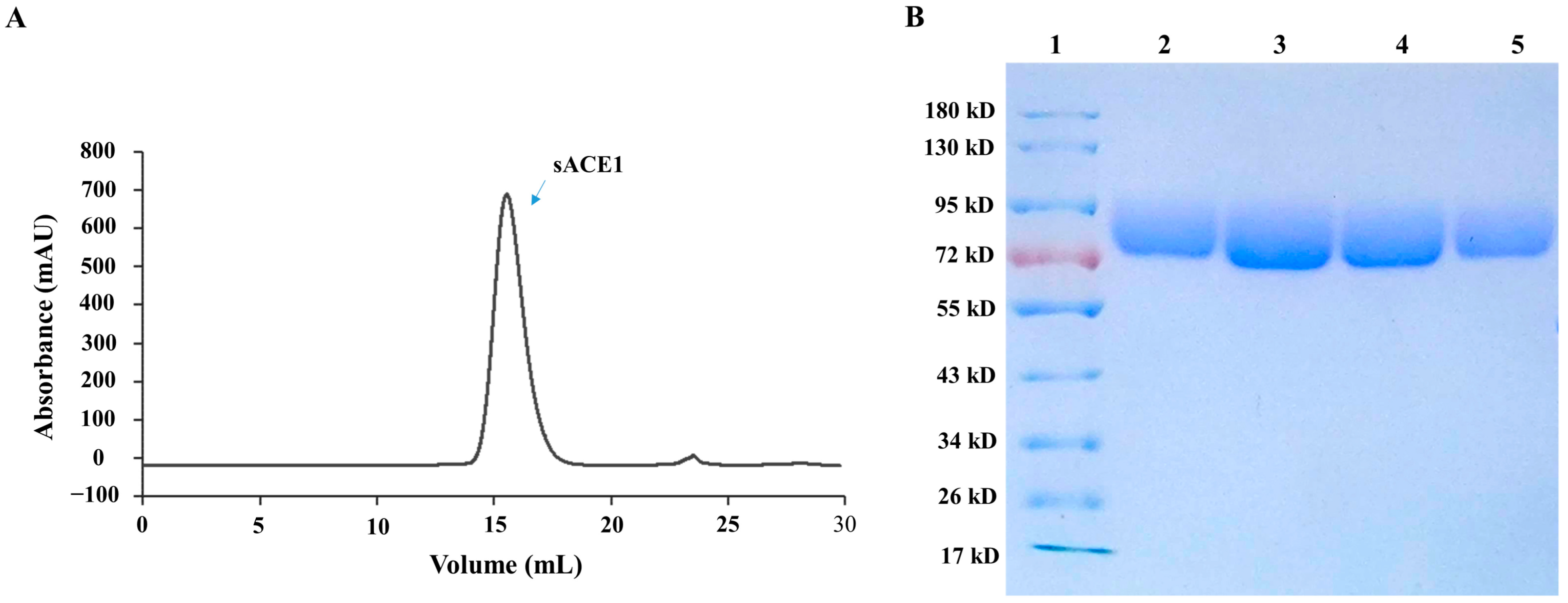 Molecules 28 07131 g003 Molecules 28 07131 g003