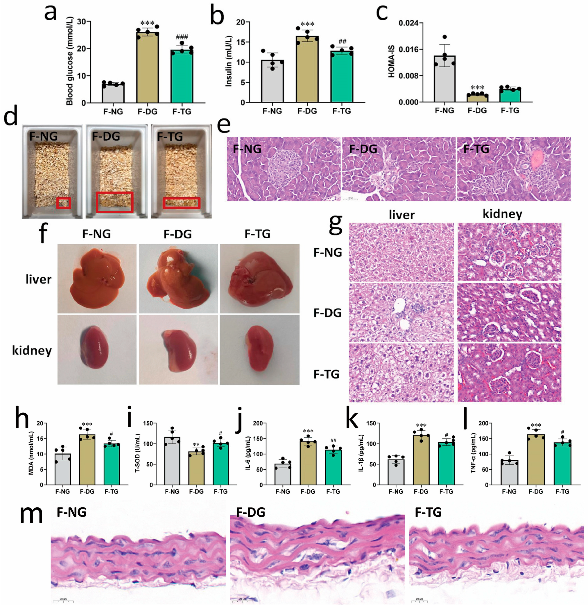 Molecules 28 07136 g005