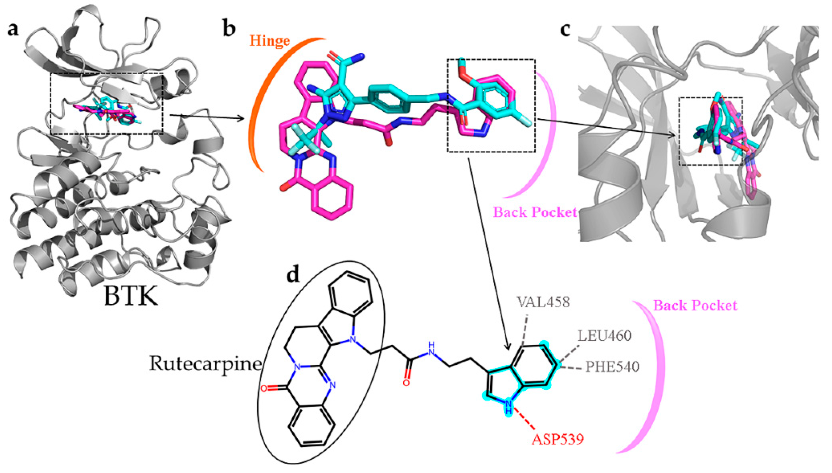 Molecules 28 07140 g010 Molecules 28 07140 g010