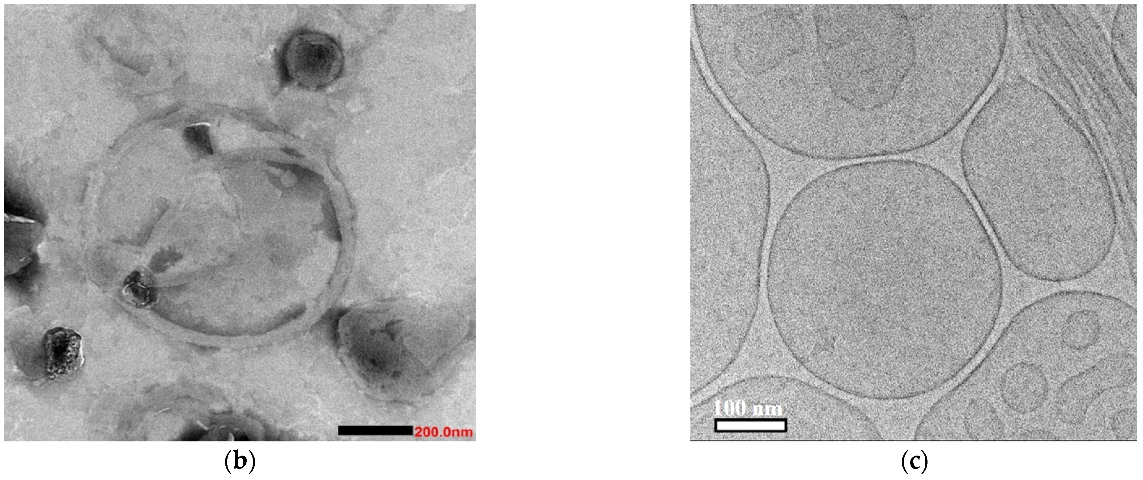 Molecules 28 07151 g008b