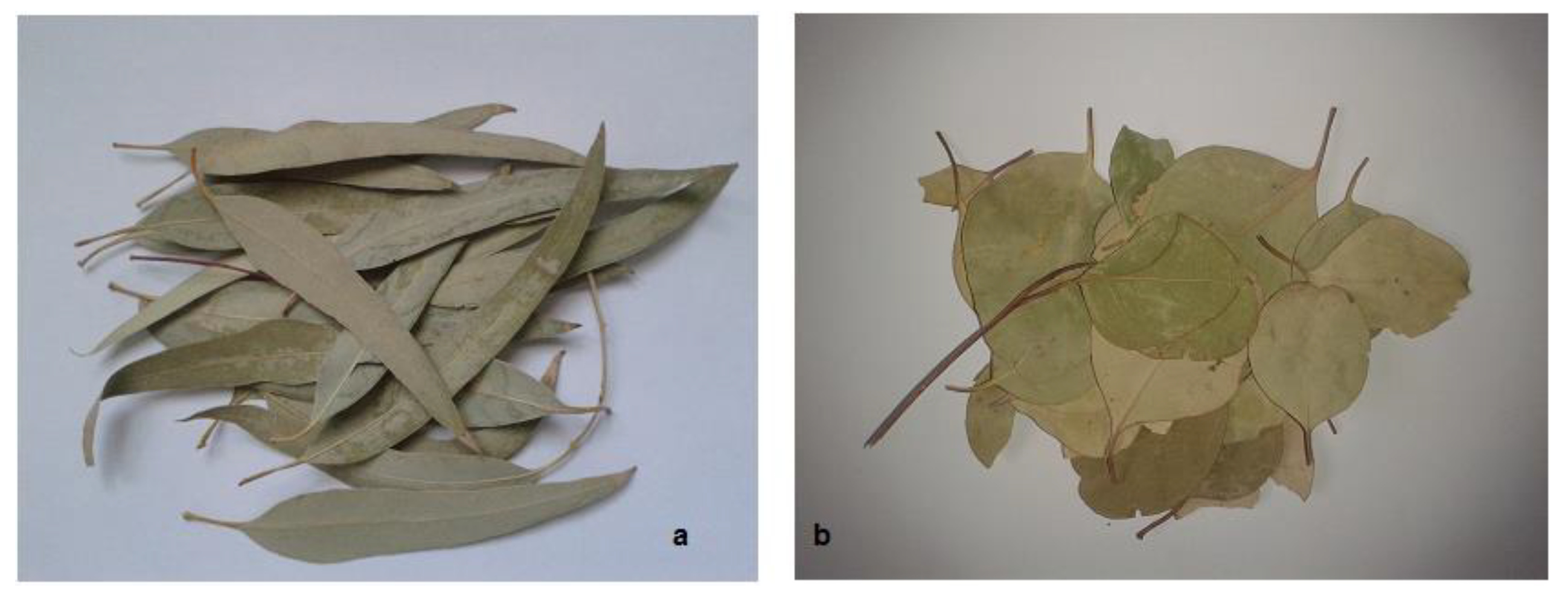 Molecules 28 07153 g005