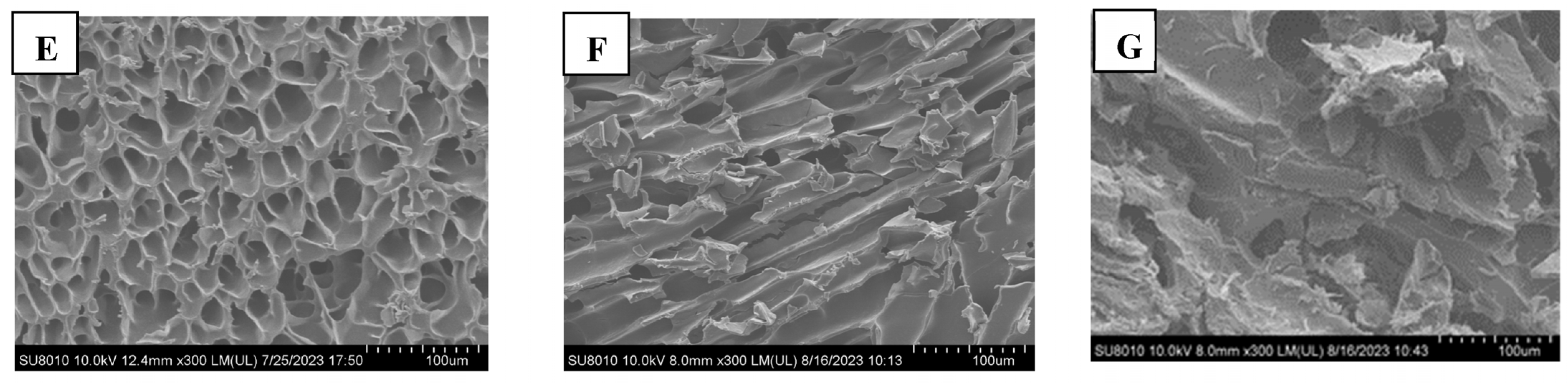 Molecules 28 07154 g002b