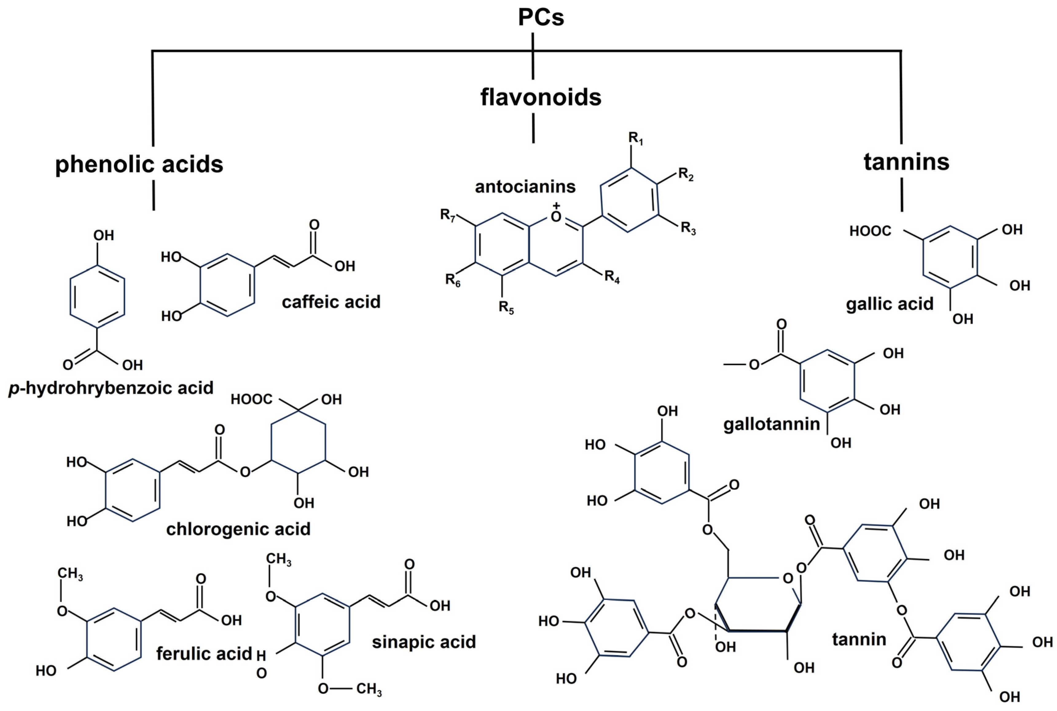 Molecules 28 07161 g003