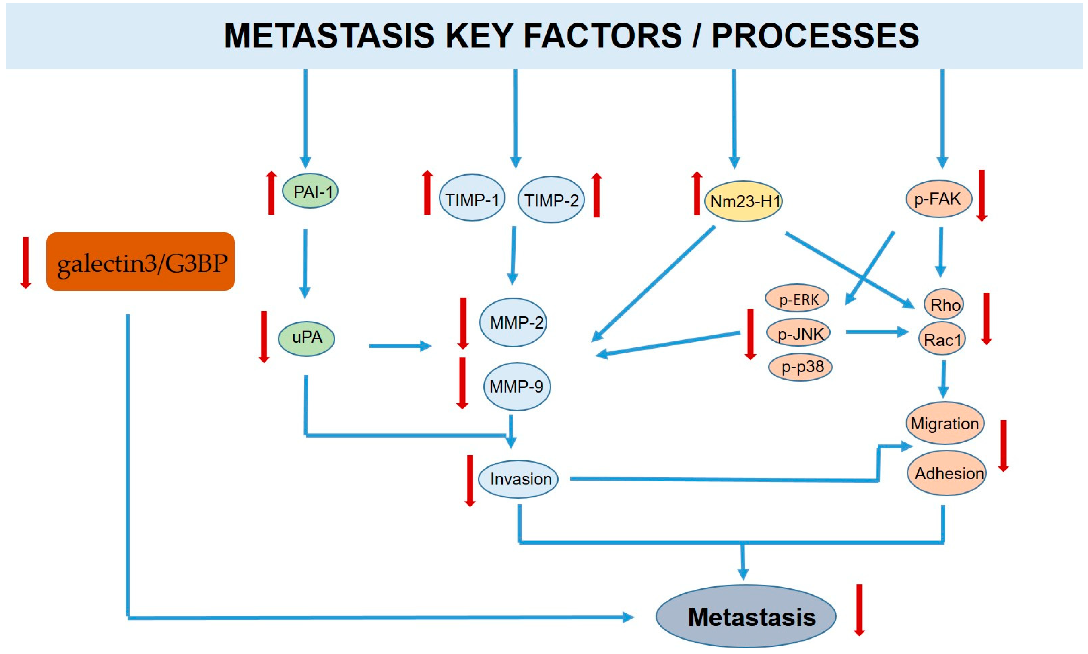 Molecules 28 07161 g007
