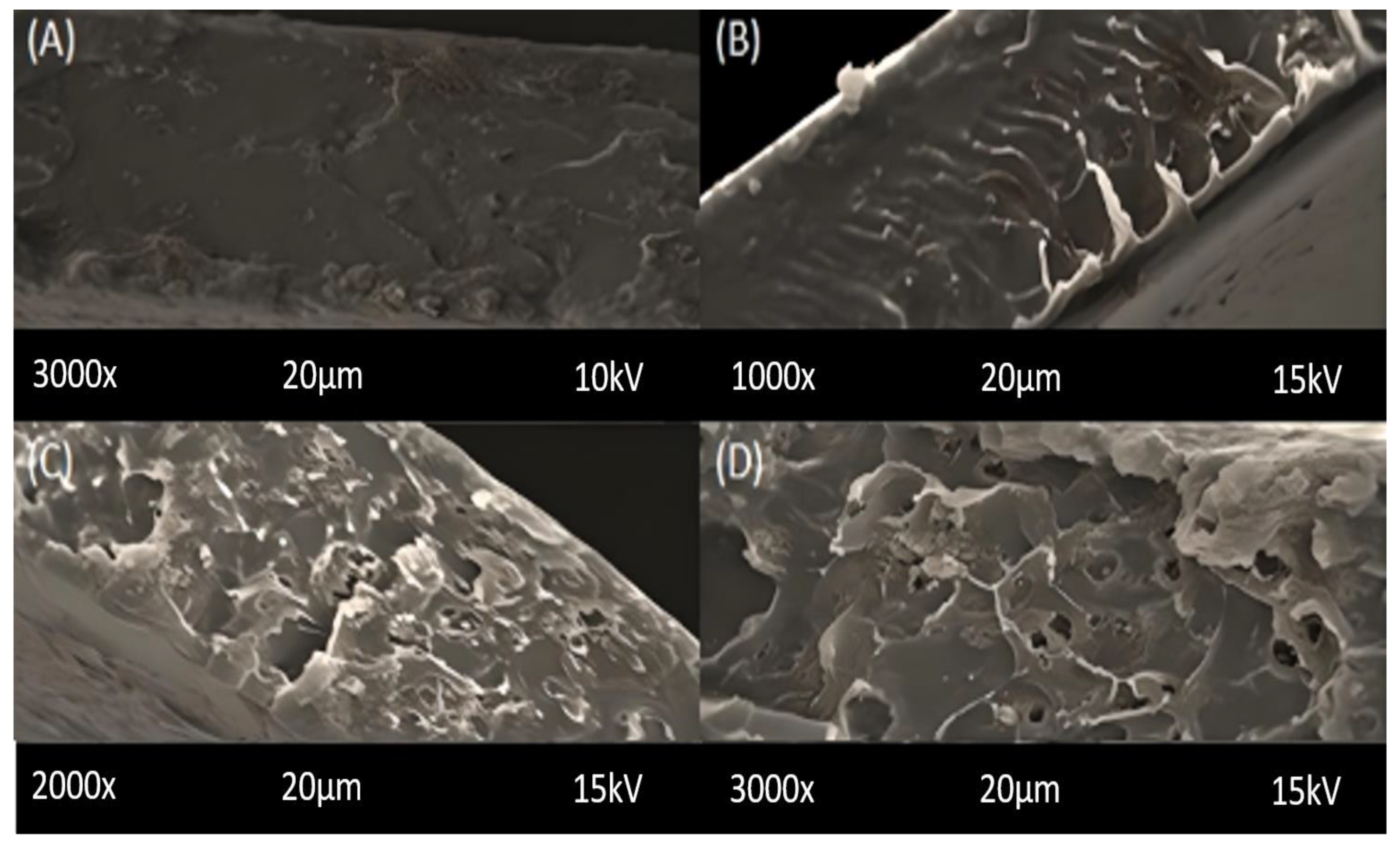 Molecules 28 07162 g001