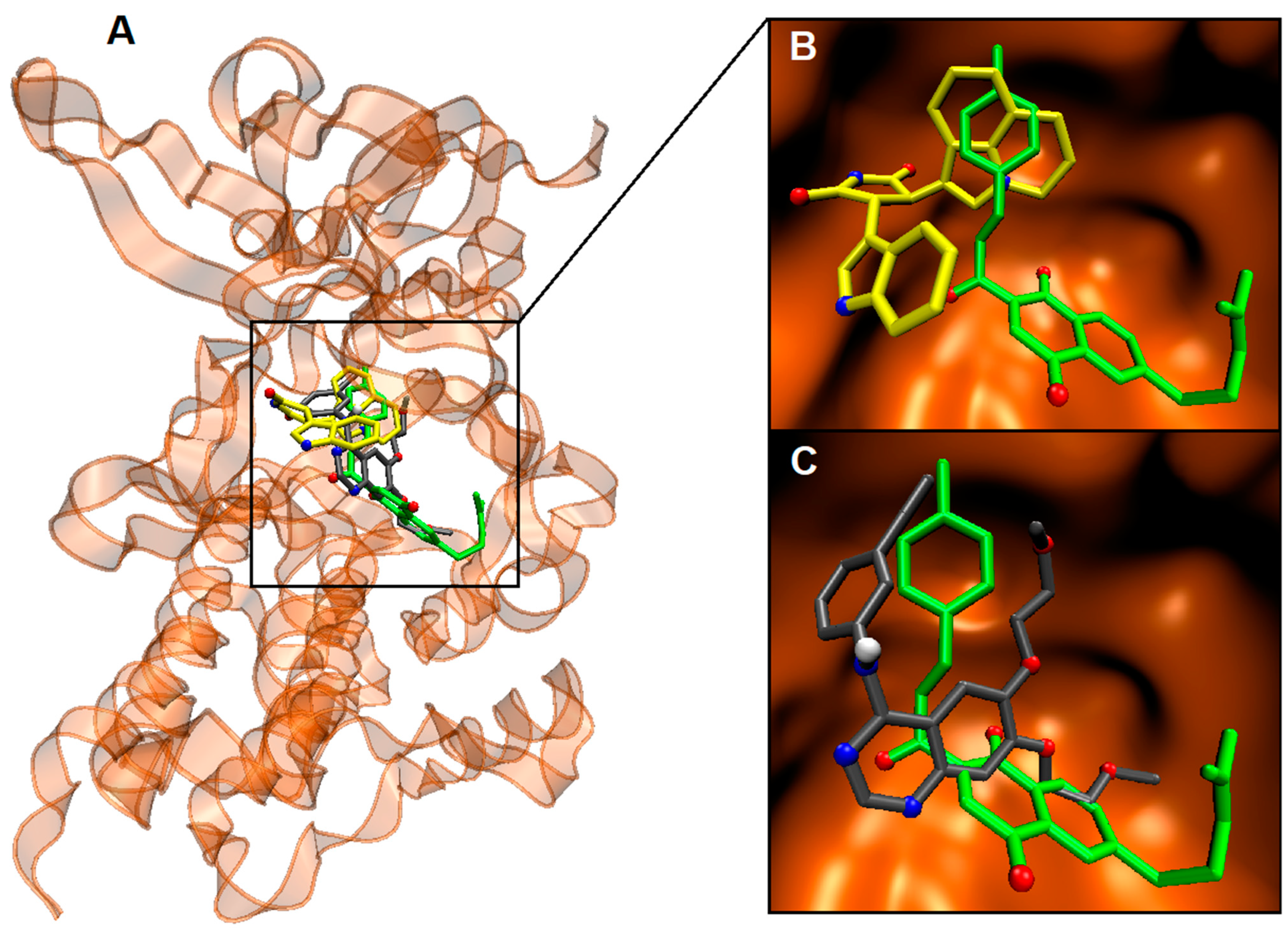 Molecules 28 07172 g005