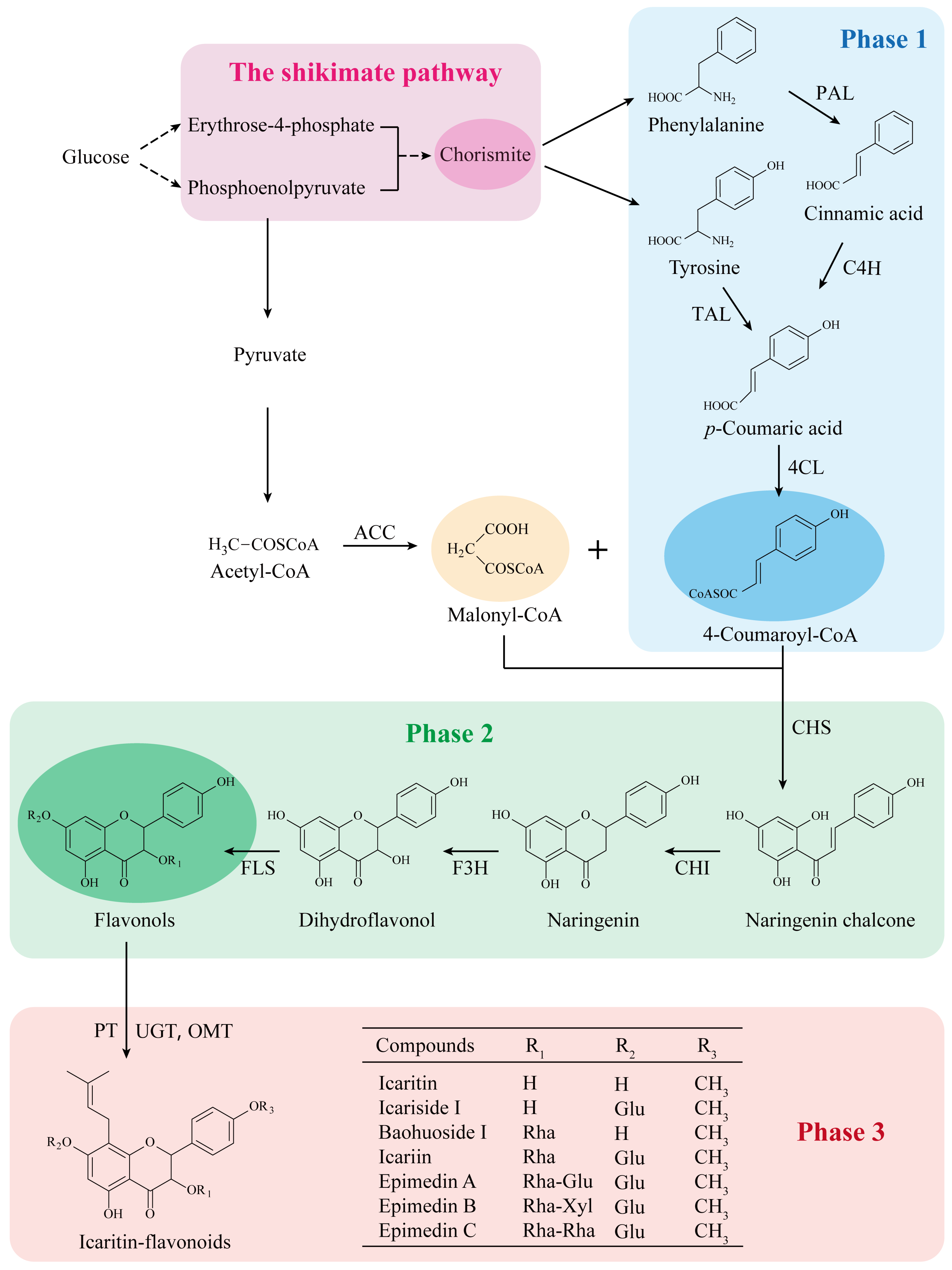 Advancements in the Biotransformation and Biosynthesis of the Primary Active Flavonoids Derived from Epimedium Advancements in the Biotransformation and Biosynthesis of the Primary Active Flavonoids Derived from Epimedium
