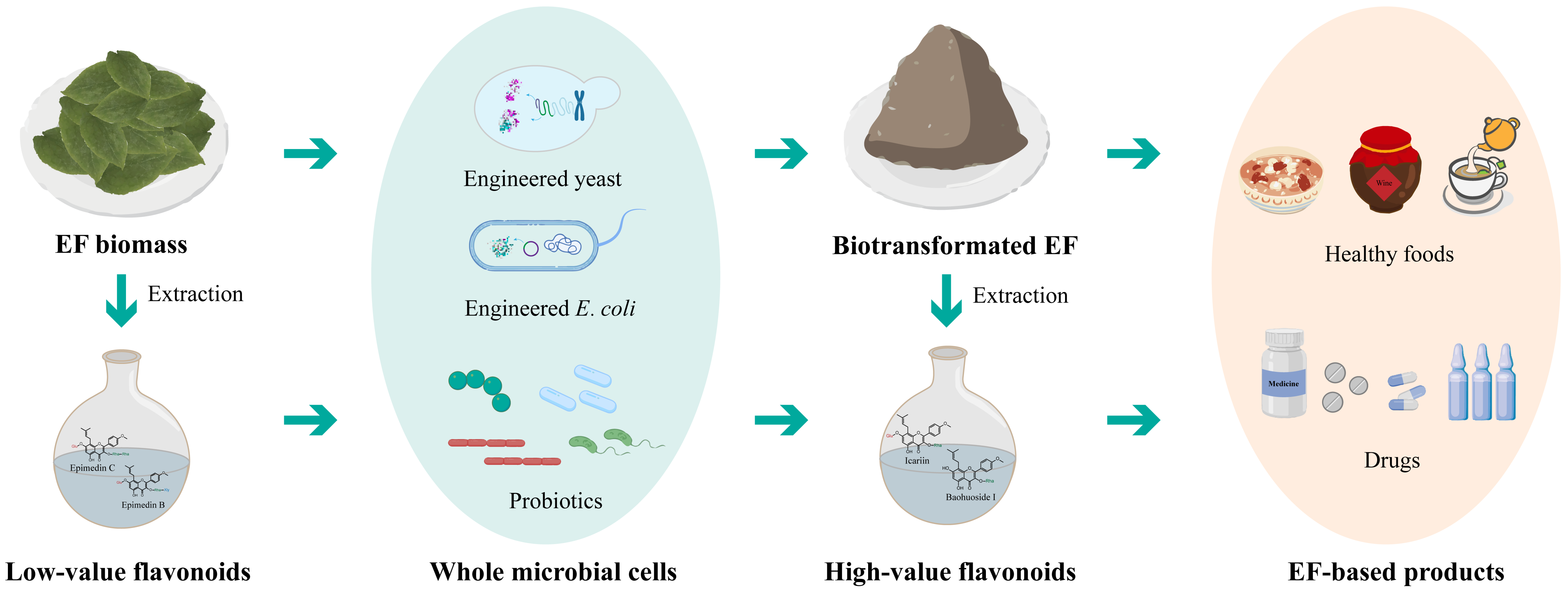 Molecules 28 07173 g005 Molecules 28 07173 g005