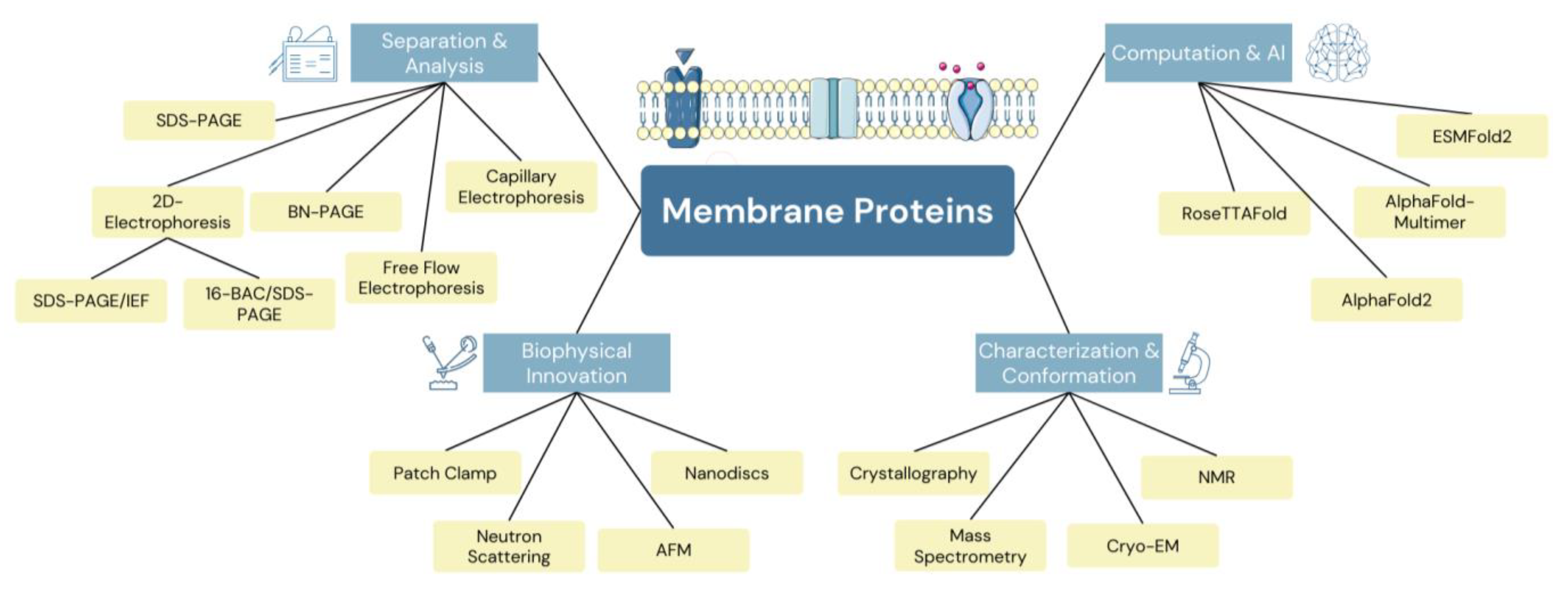 Molecules 28 07176 g001 Molecules 28 07176 g001