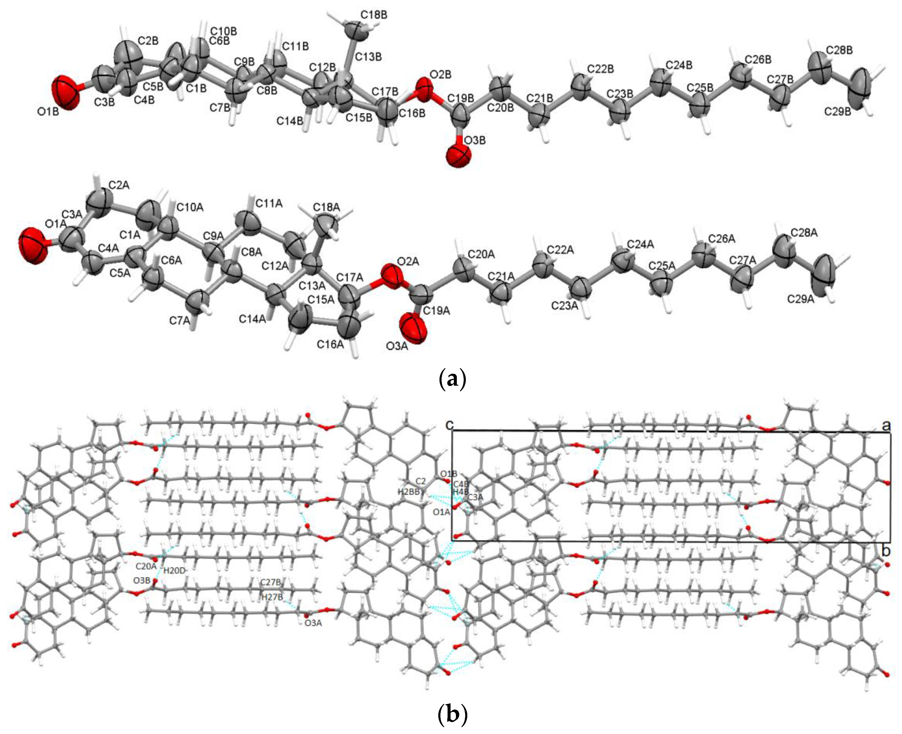 Molecules 28 07179 g005