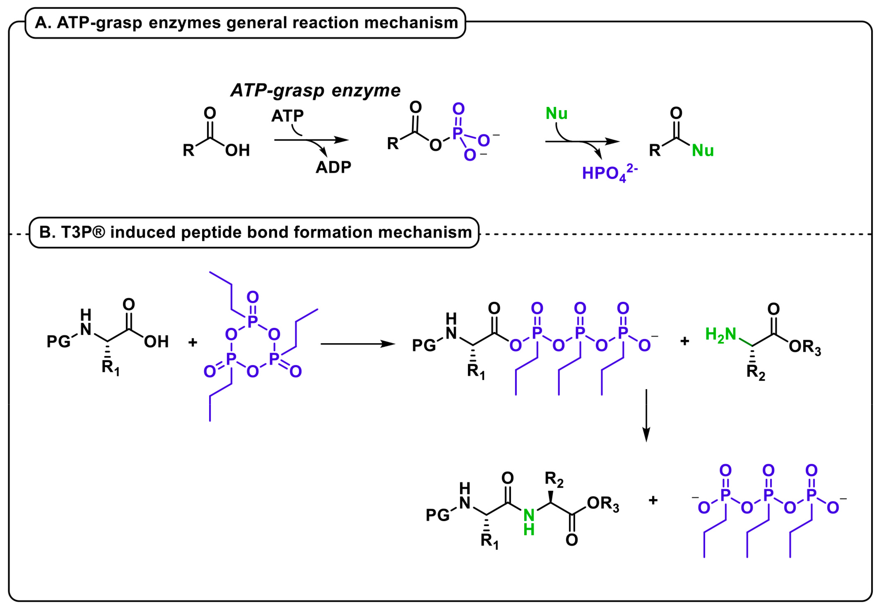 Molecules 28 07183 g001