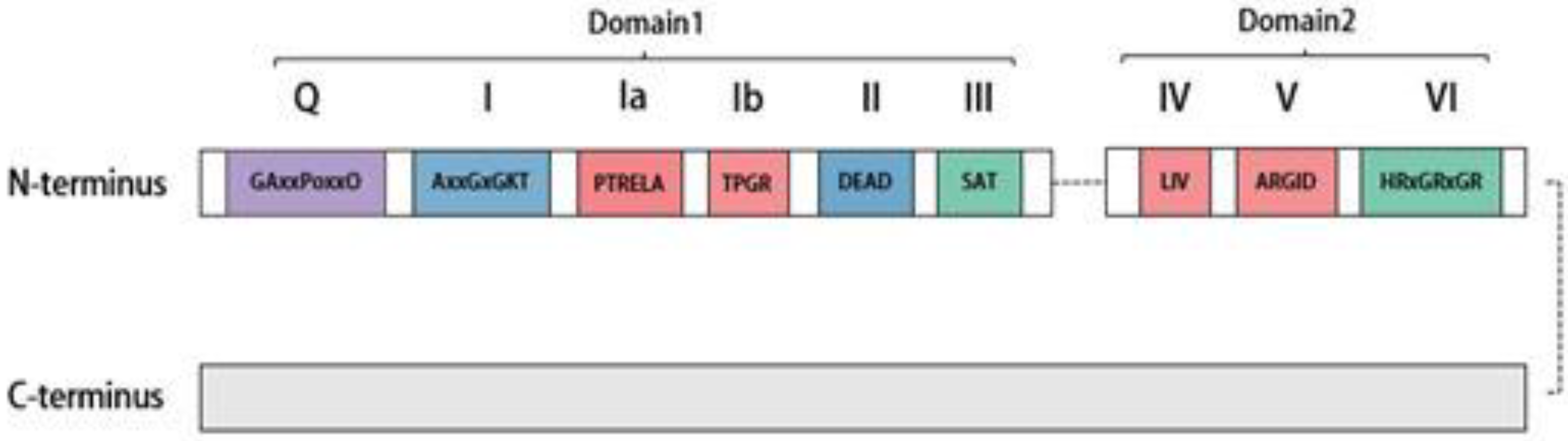 Molecules 28 07198 g001 Molecules 28 07198 g001