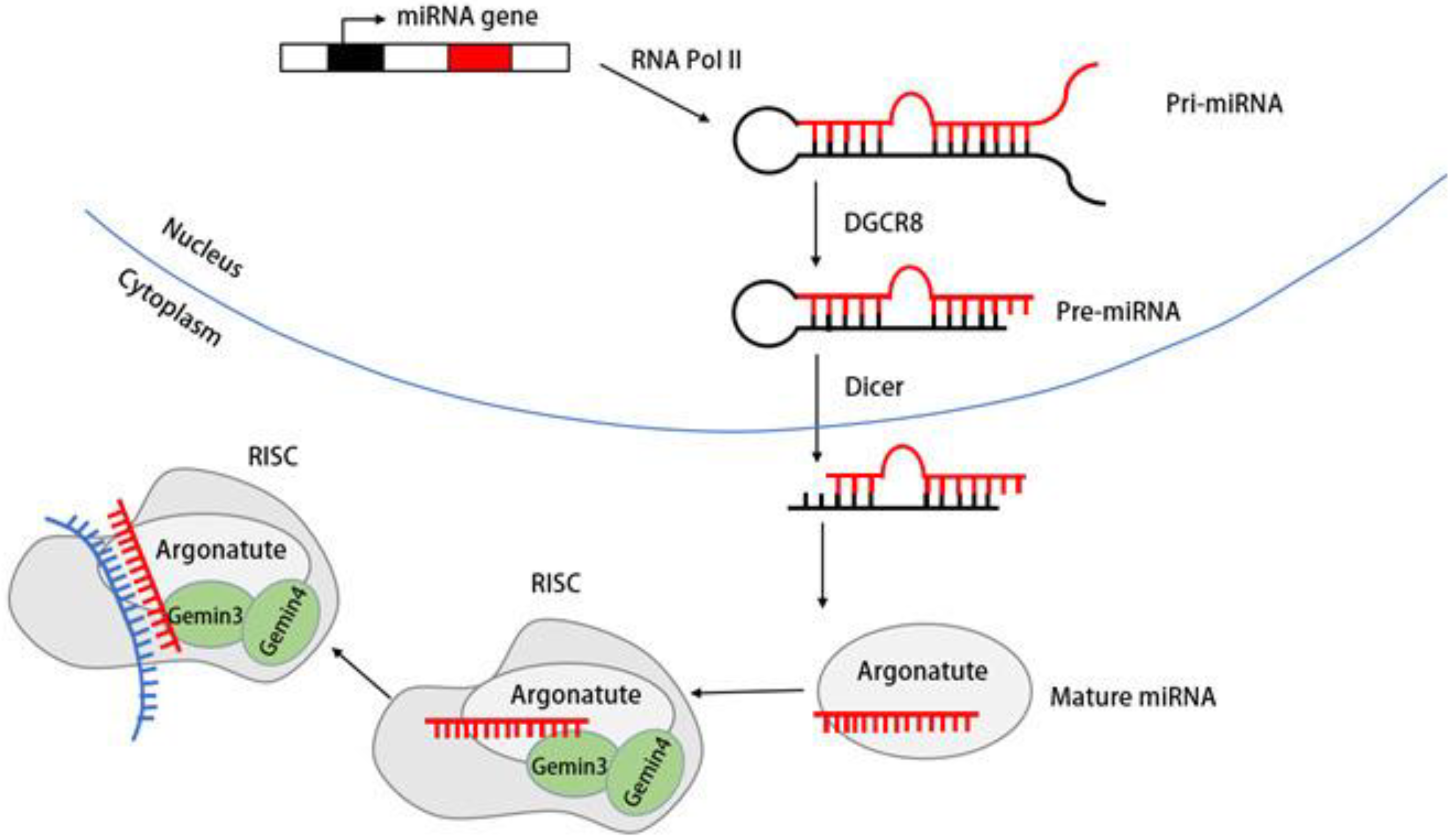 Molecules 28 07198 g004 Molecules 28 07198 g004