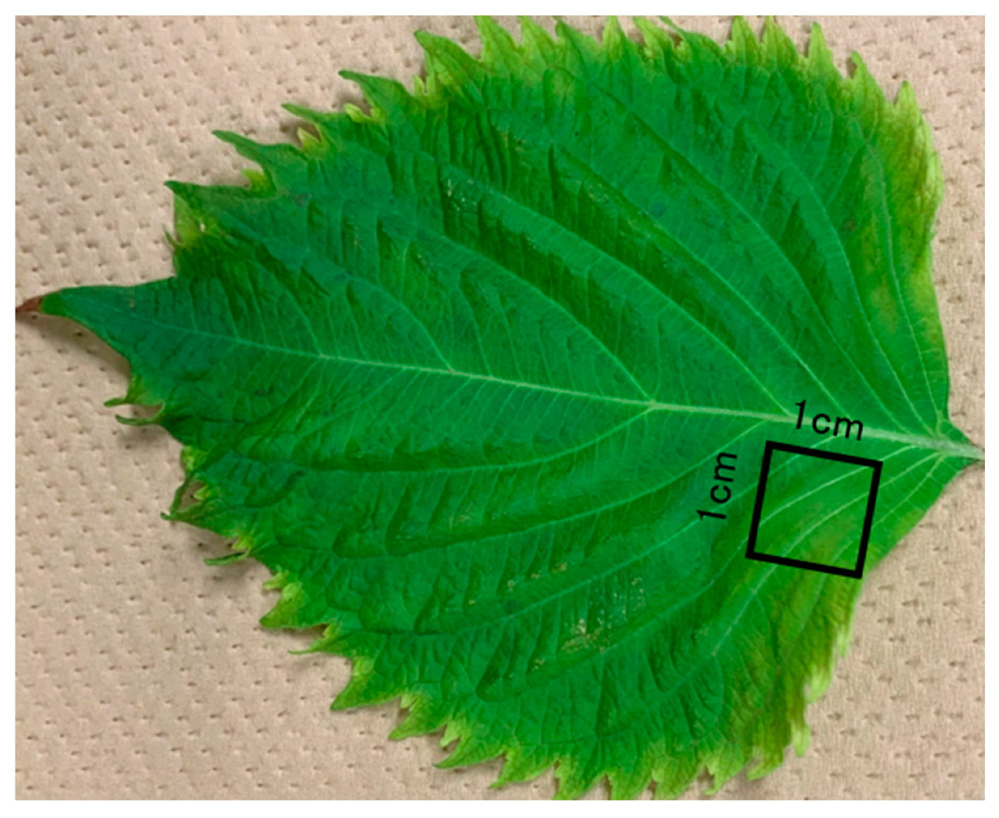 Molecules 28 07199 g009