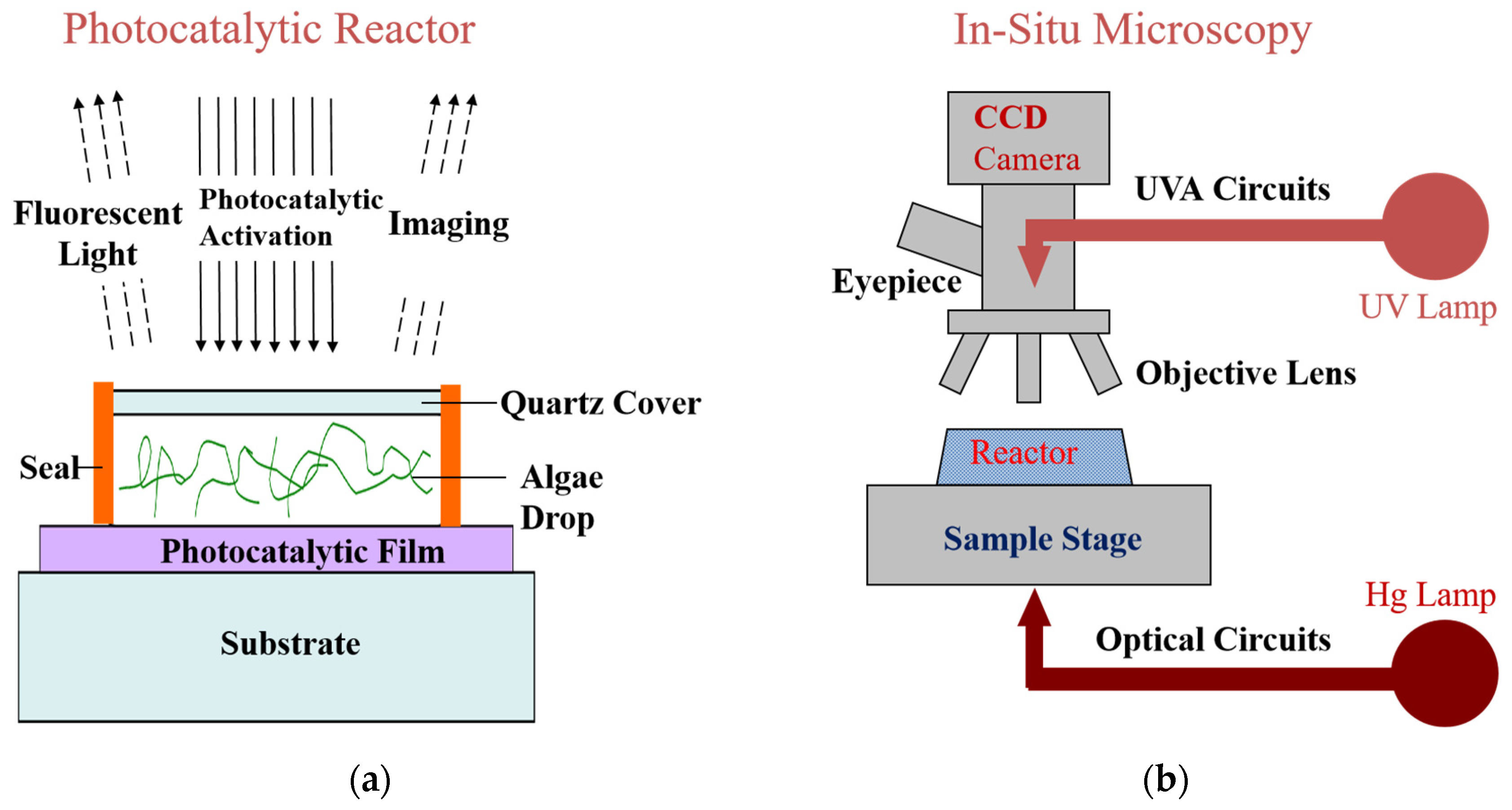 Molecules 28 07200 g001