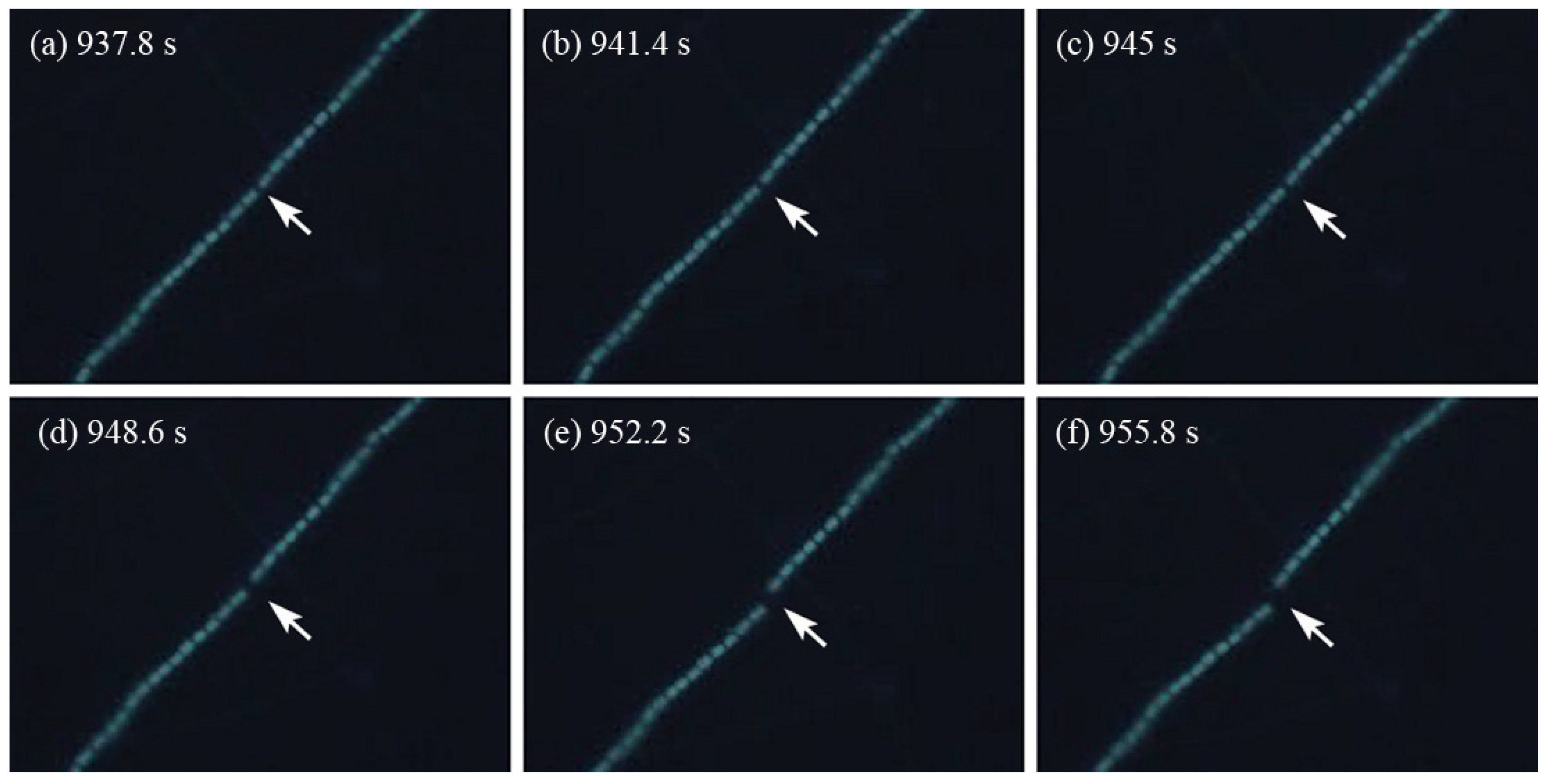 Molecules 28 07200 g002