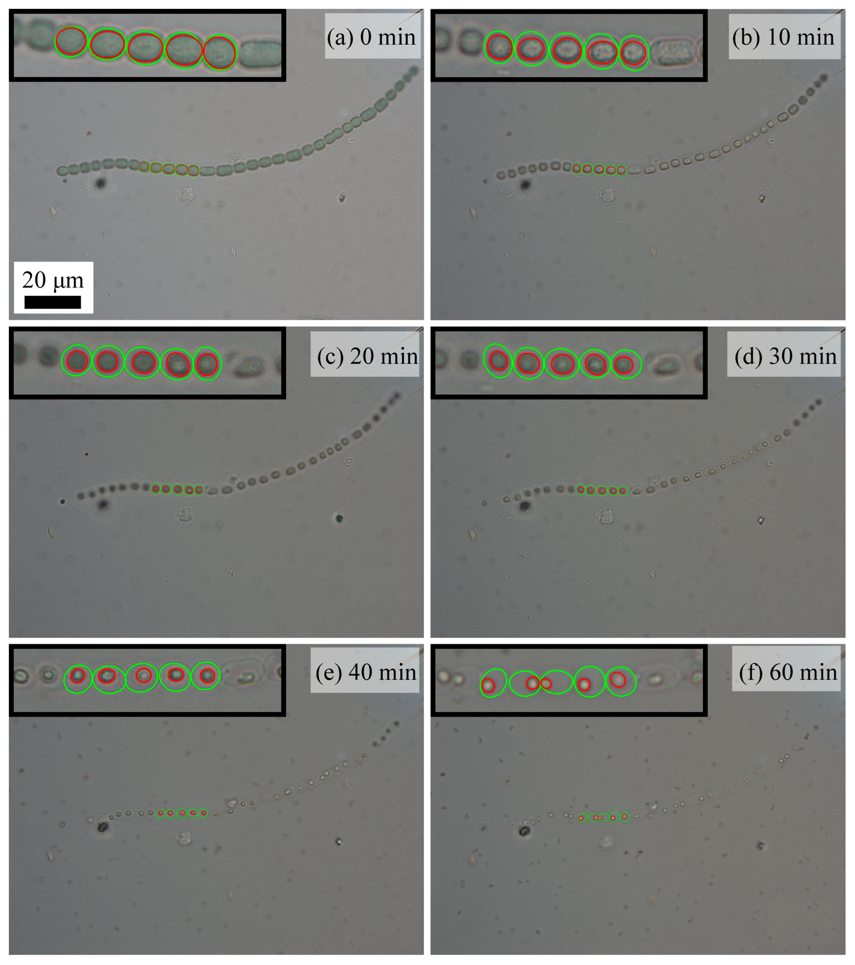 Molecules 28 07200 g004