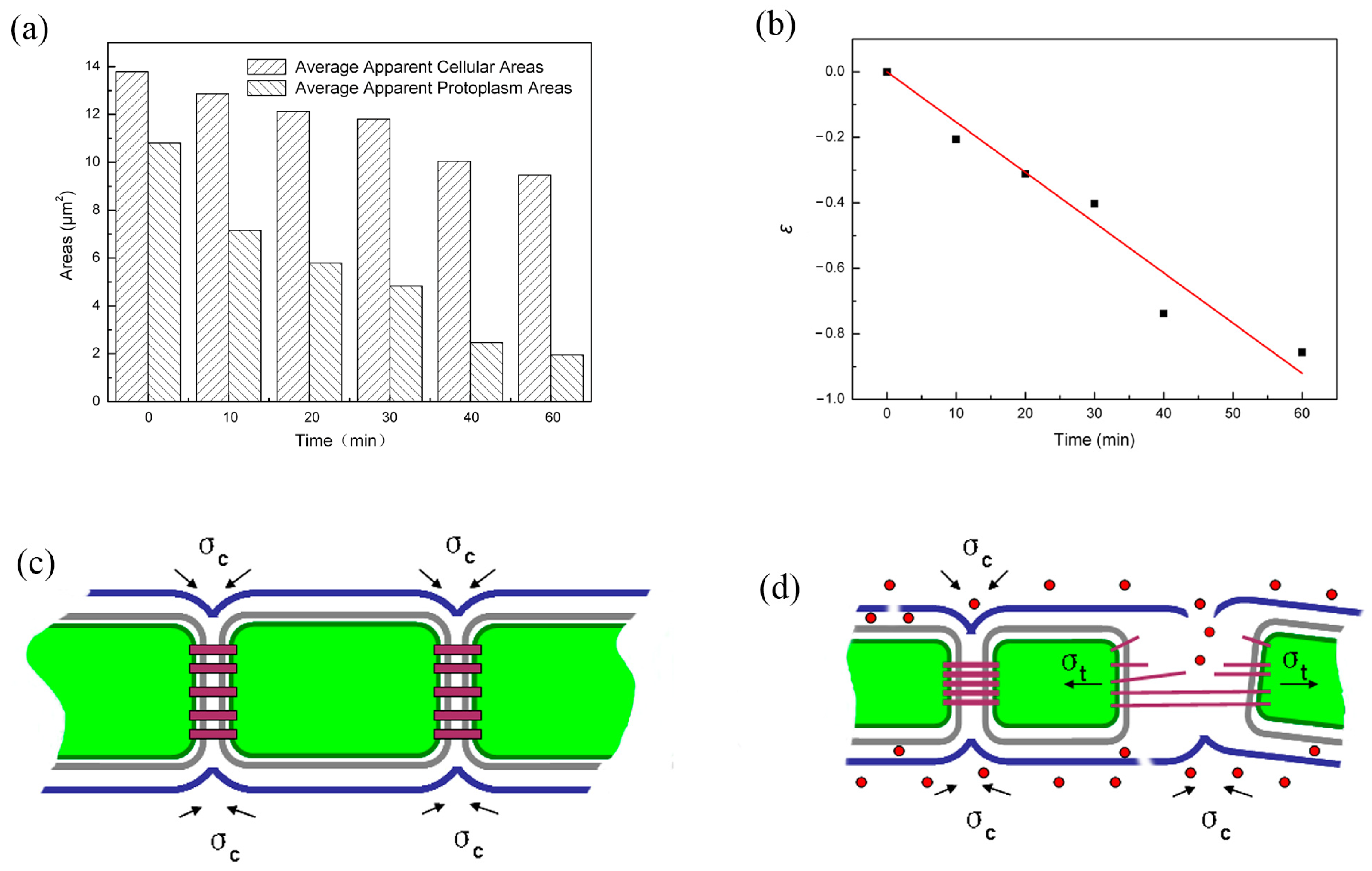Molecules 28 07200 g005