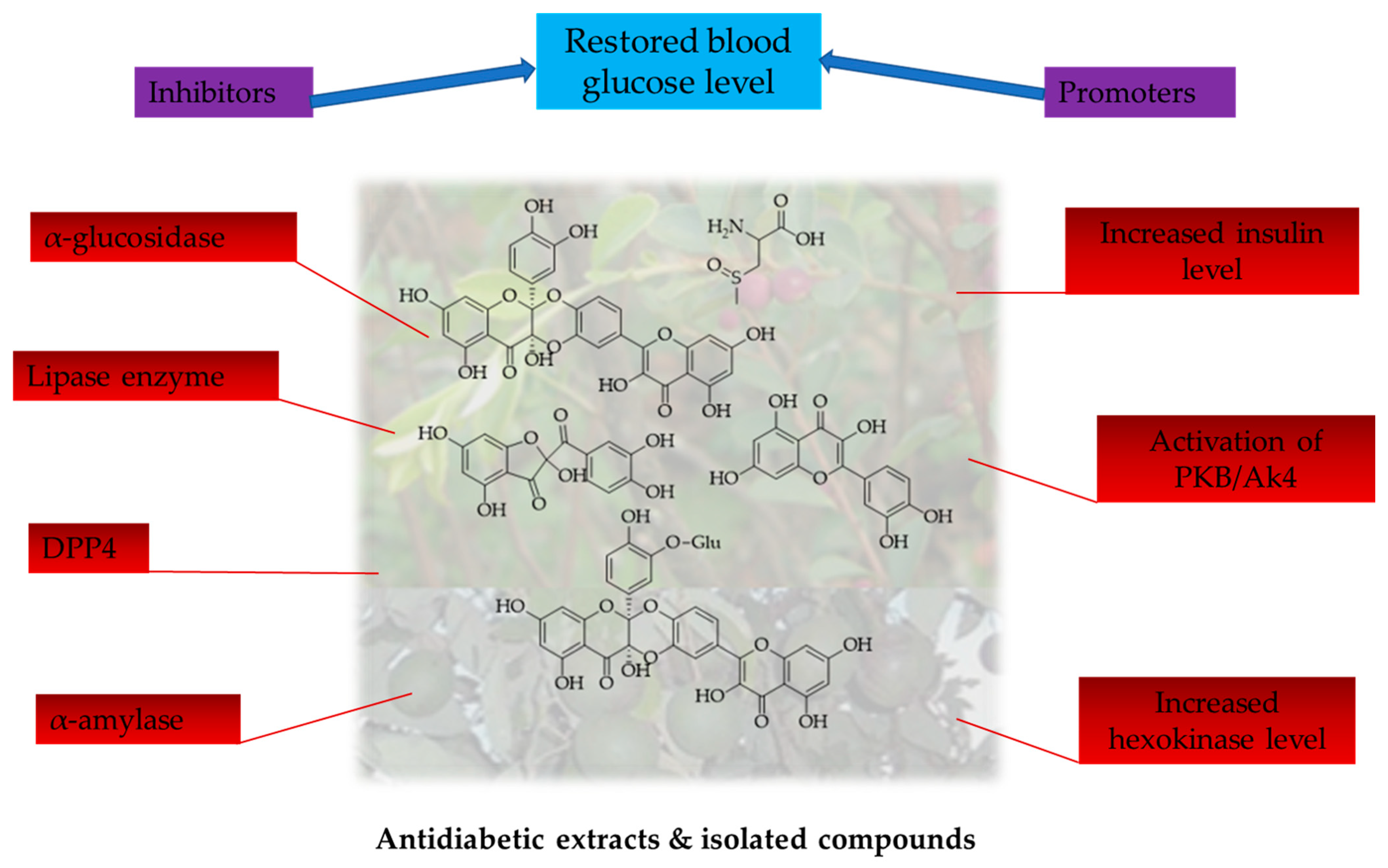 Molecules 28 07202 g004