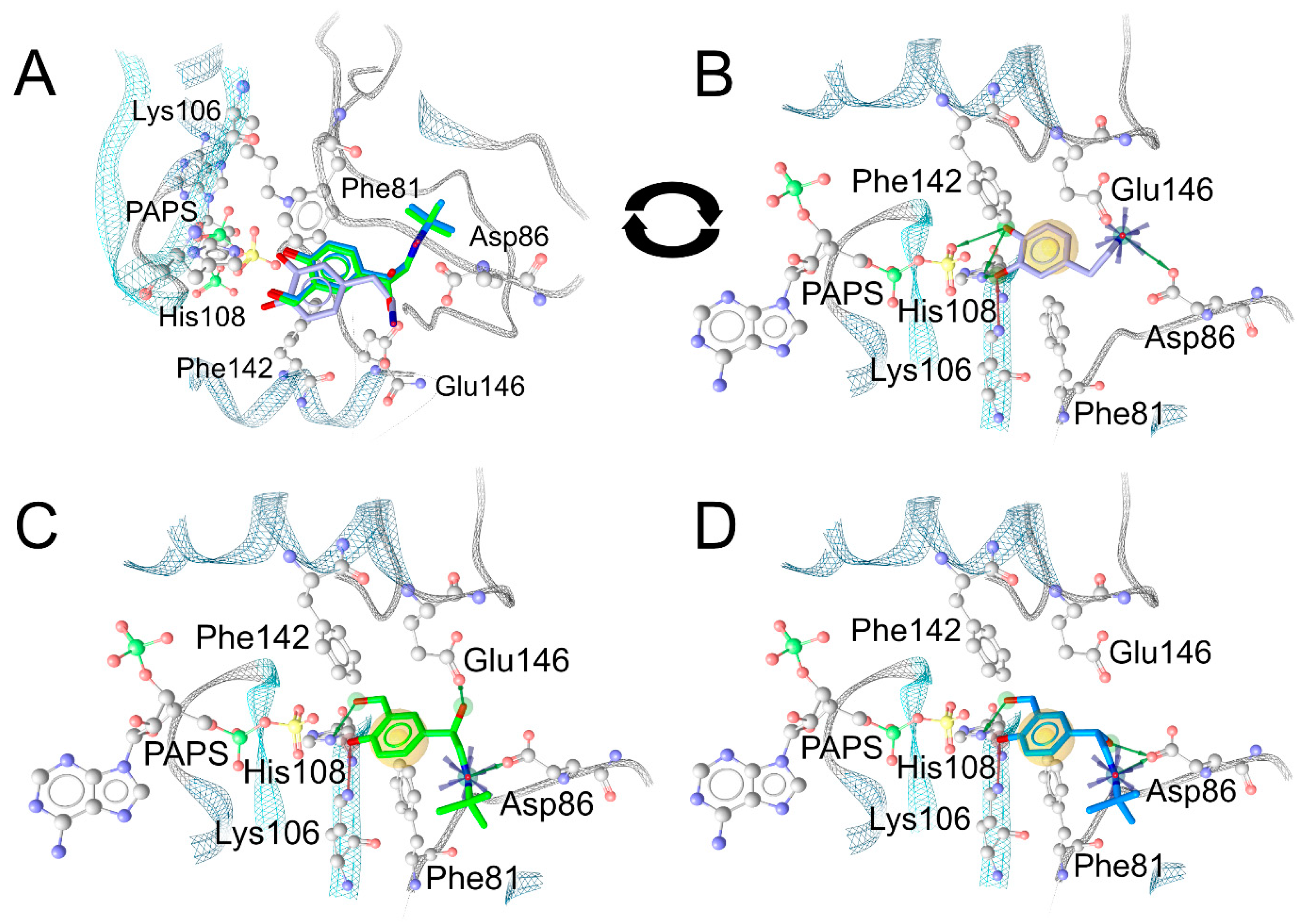 Molecules 28 07206 g011 Molecules 28 07206 g011