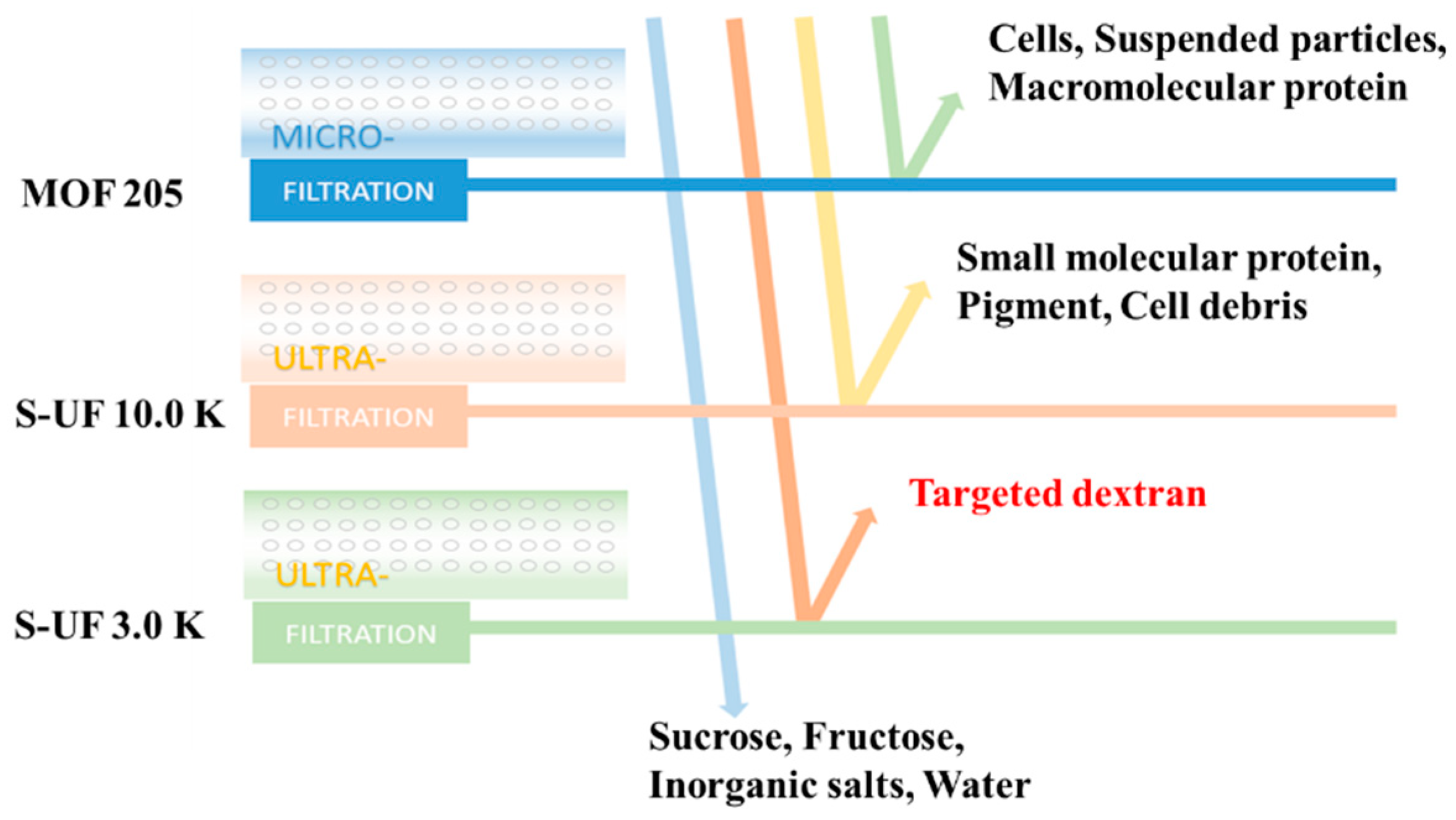 Molecules 28 07210 g002