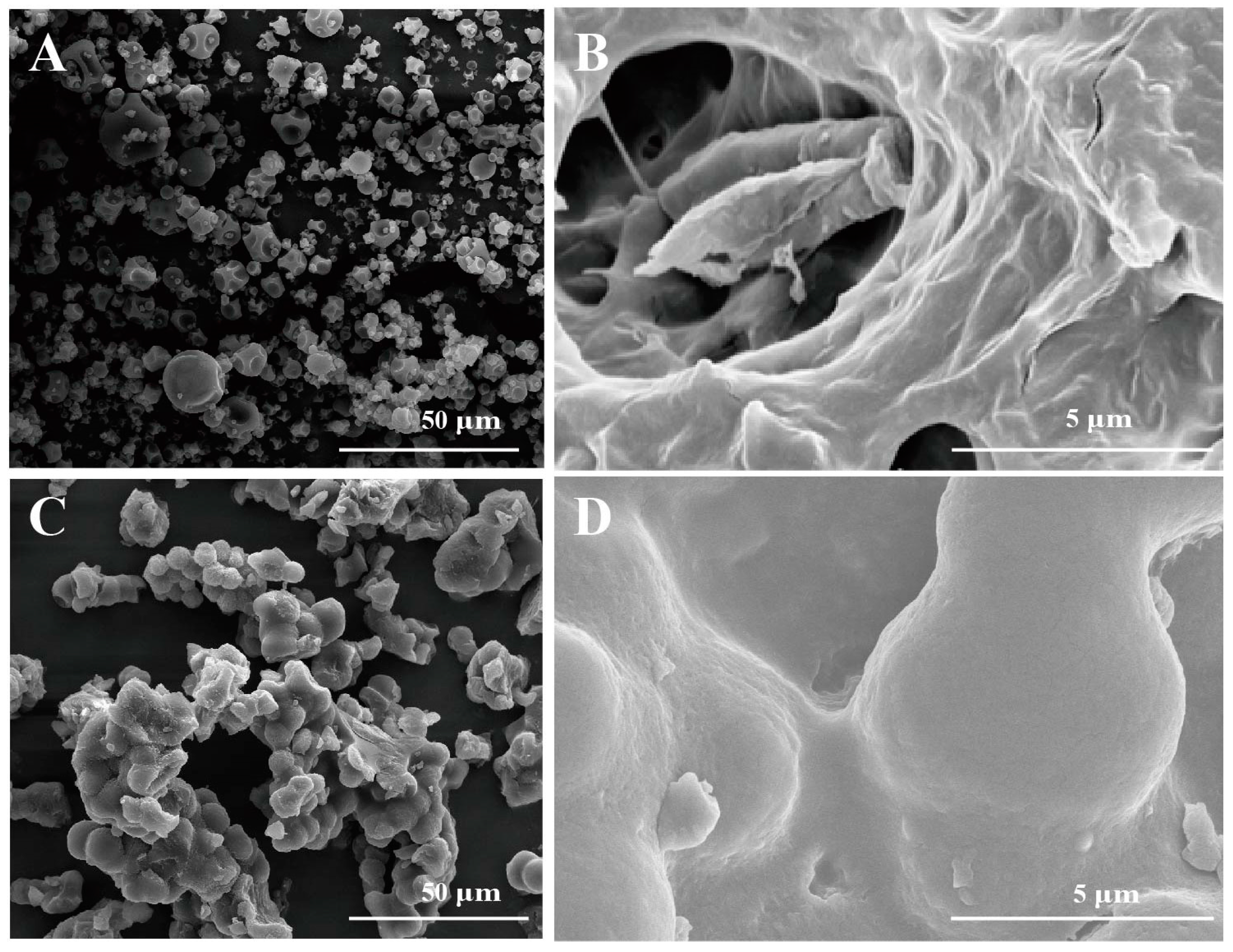 Molecules 28 07210 g004