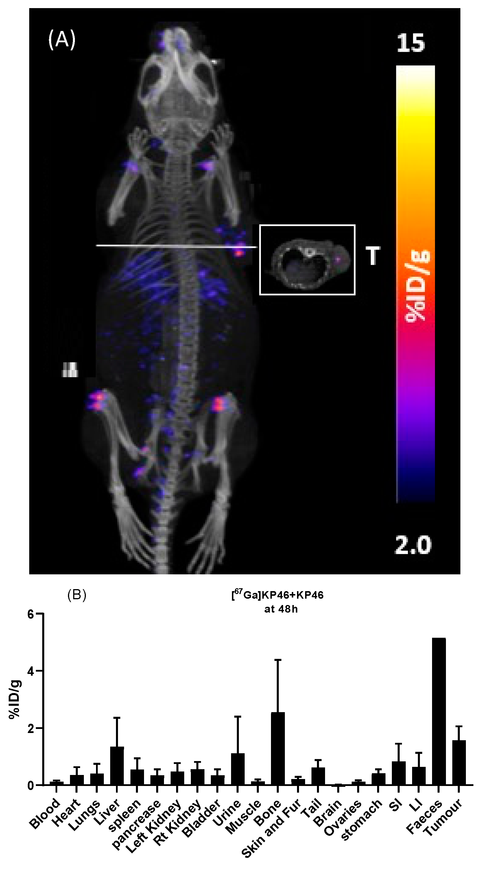 Molecules 28 07217 g008