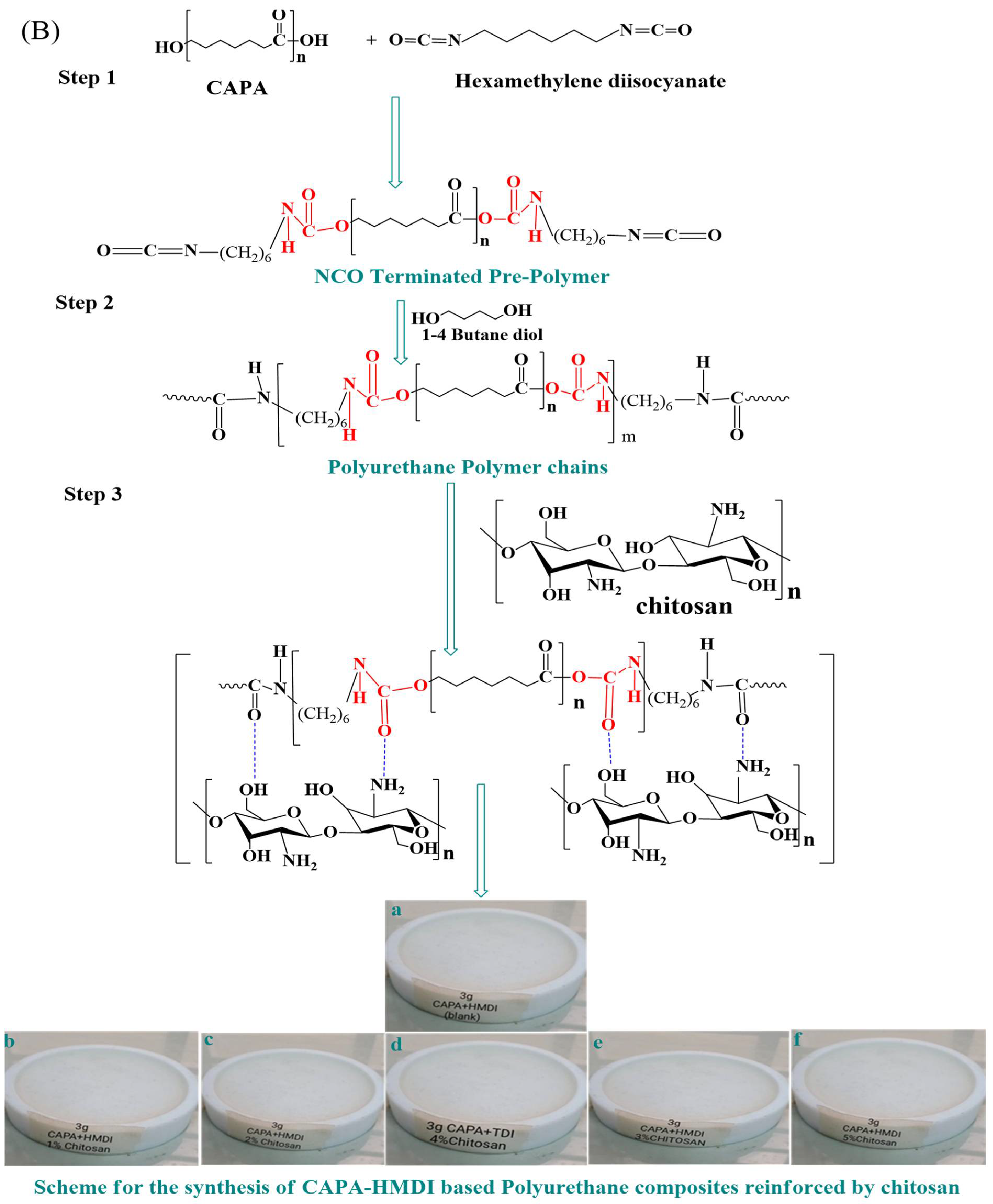Molecules 28 07218 g008b