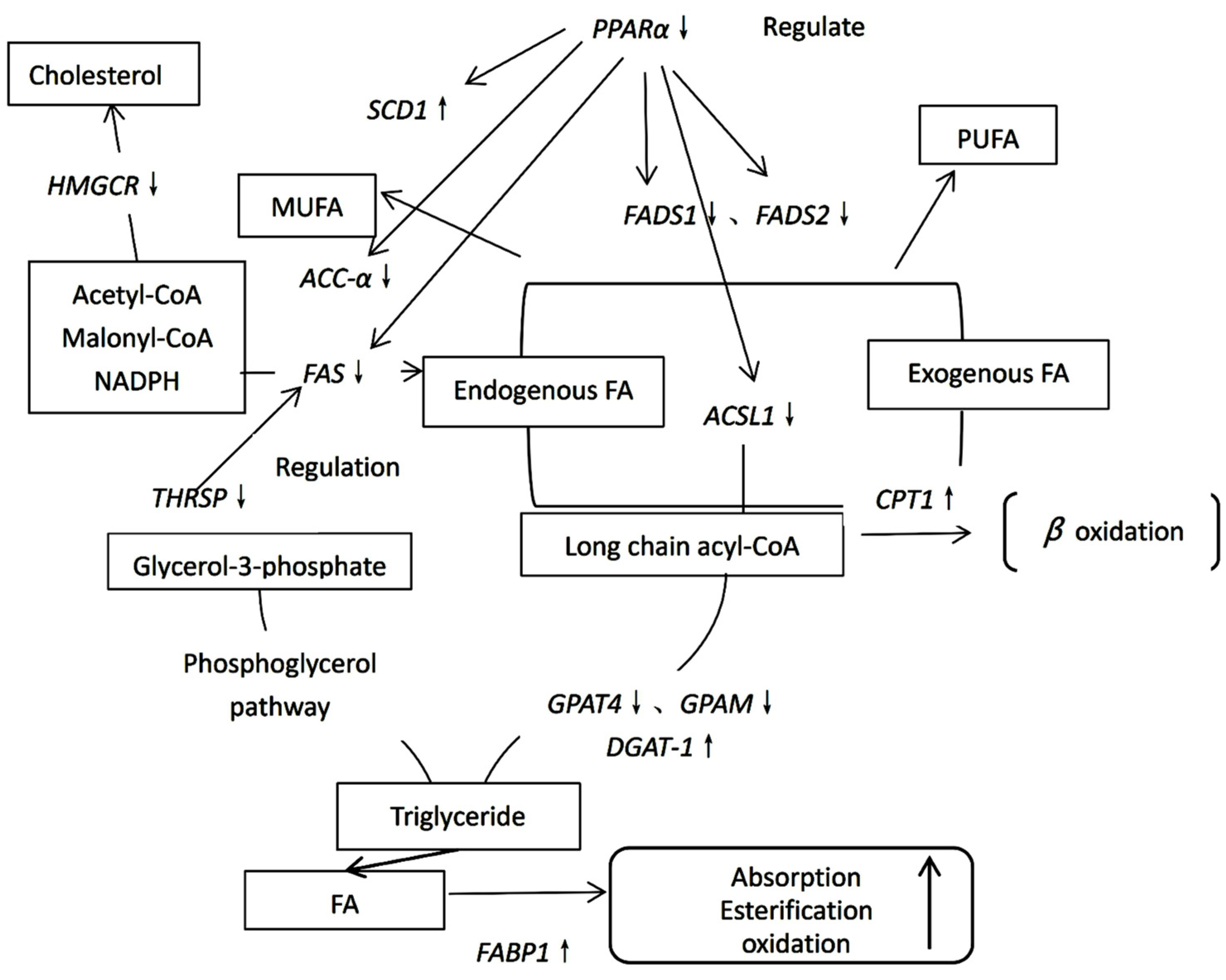 Molecules 28 07222 g002