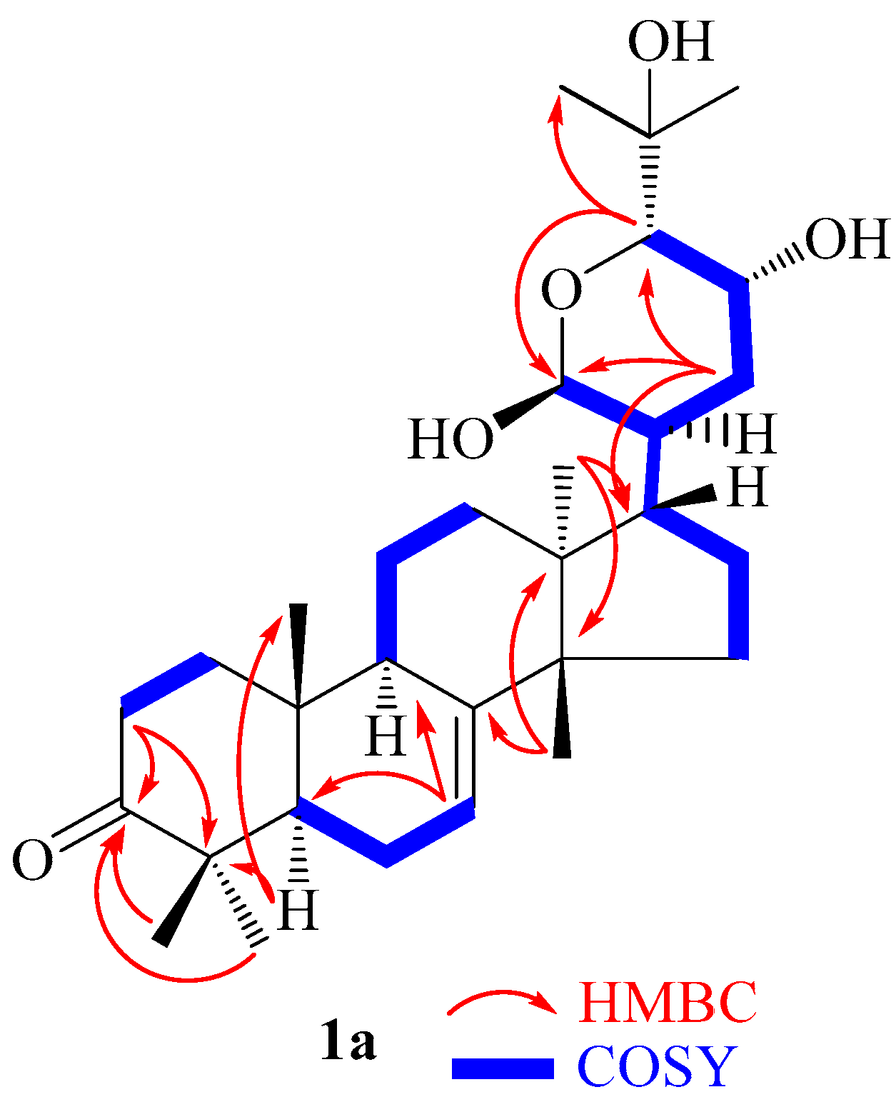 Molecules 28 07227 g002
