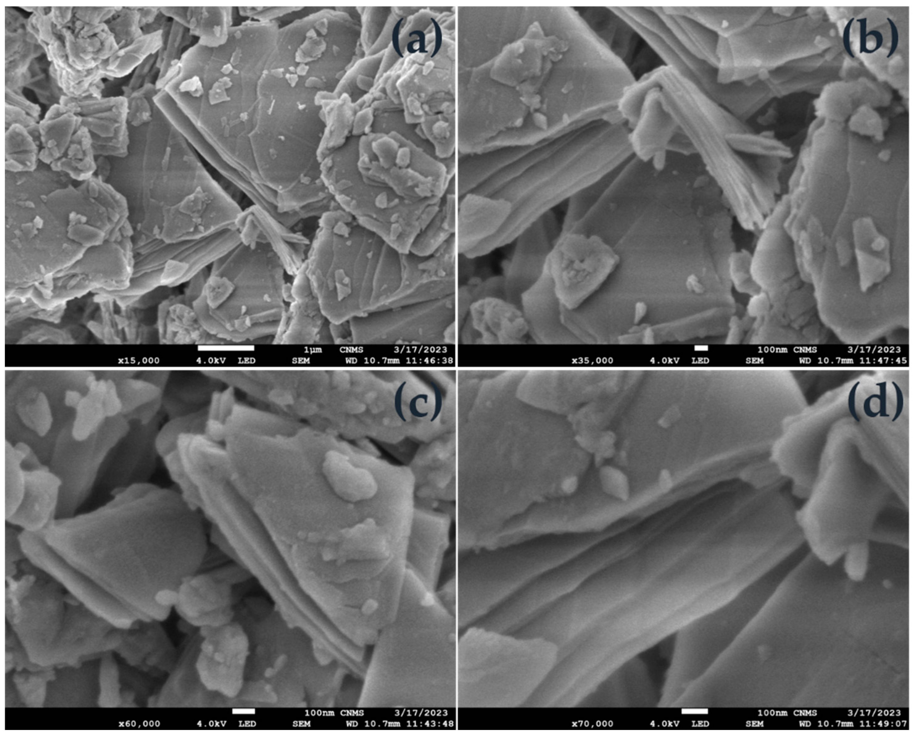 Molecules 28 07228 g002