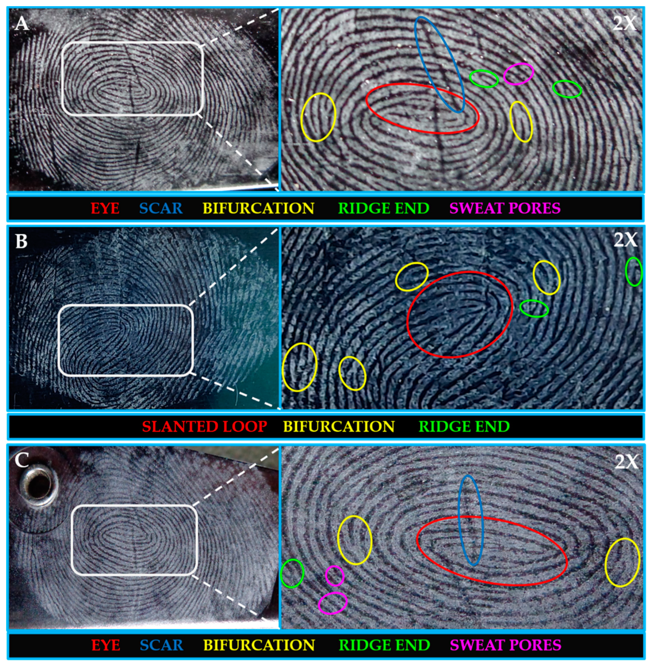 Molecules 28 07228 g008
