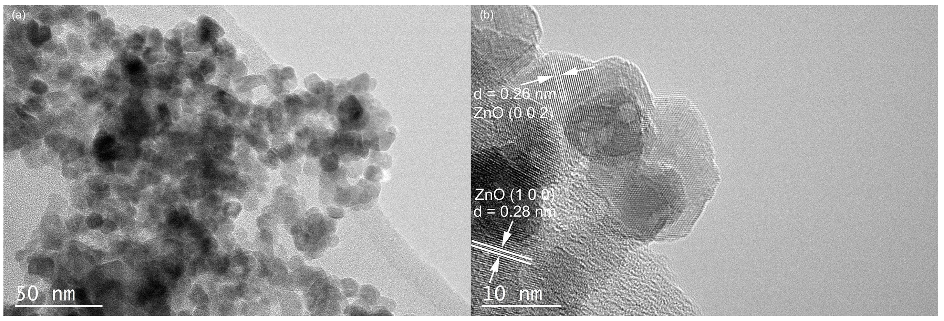 Molecules 28 07232 g002