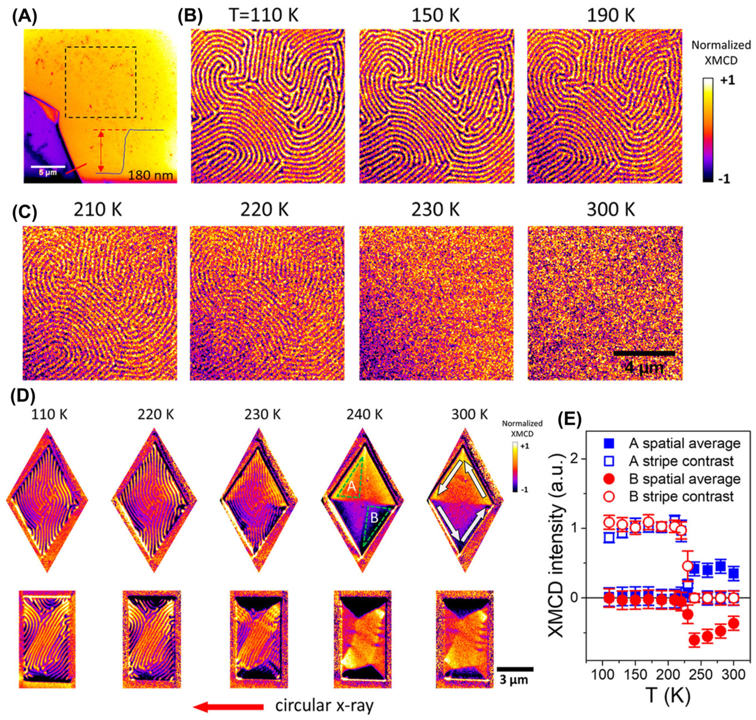 Molecules 28 07244 g021