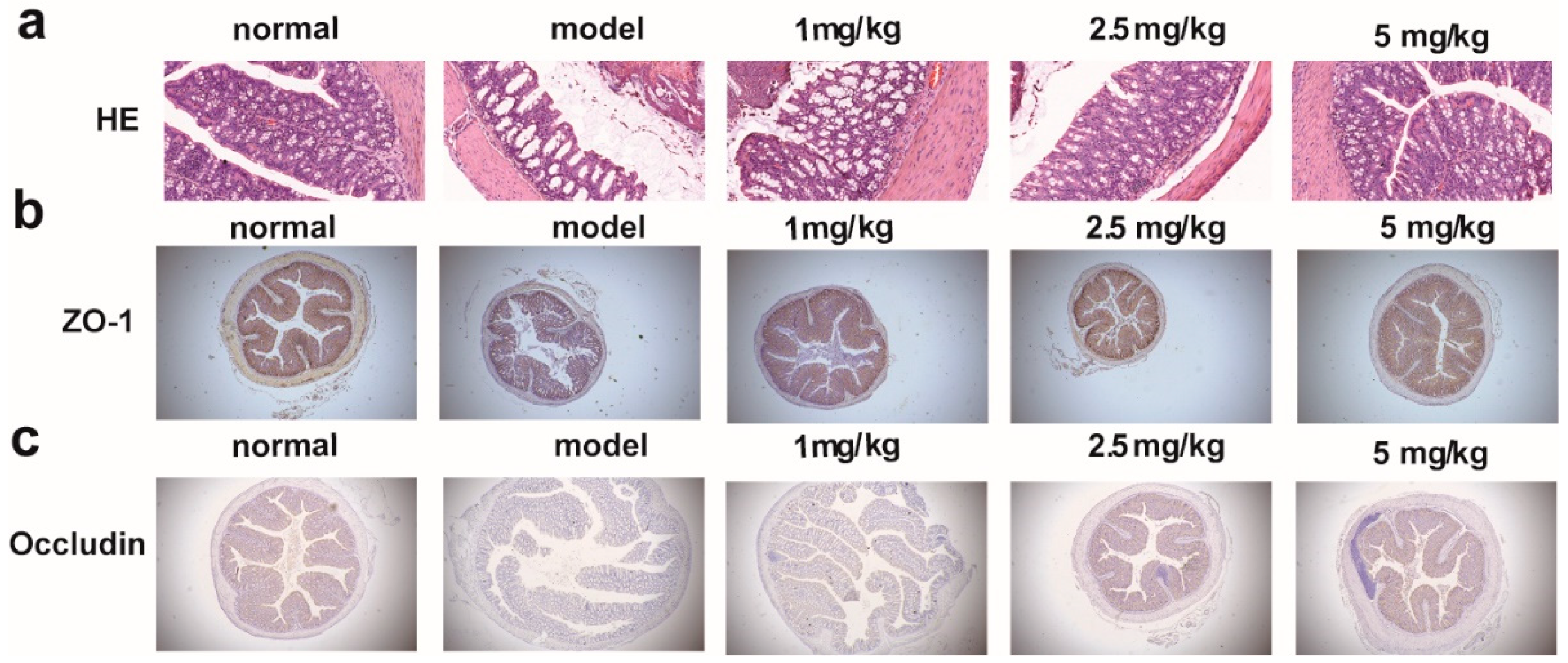 Molecules 28 07245 g005