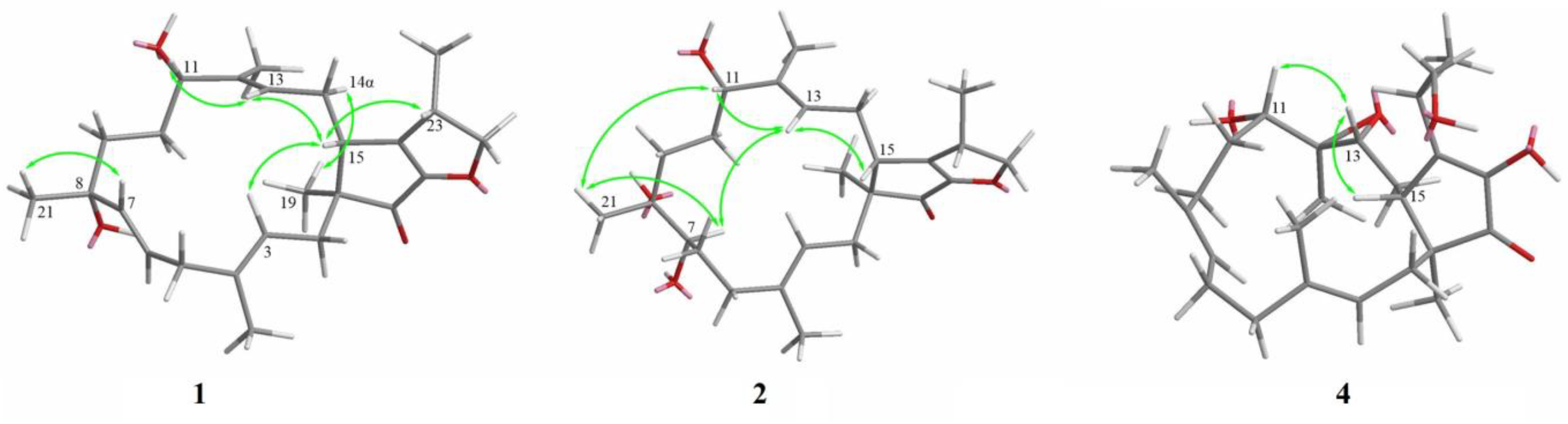 Molecules 28 07246 g003 Molecules 28 07246 g003