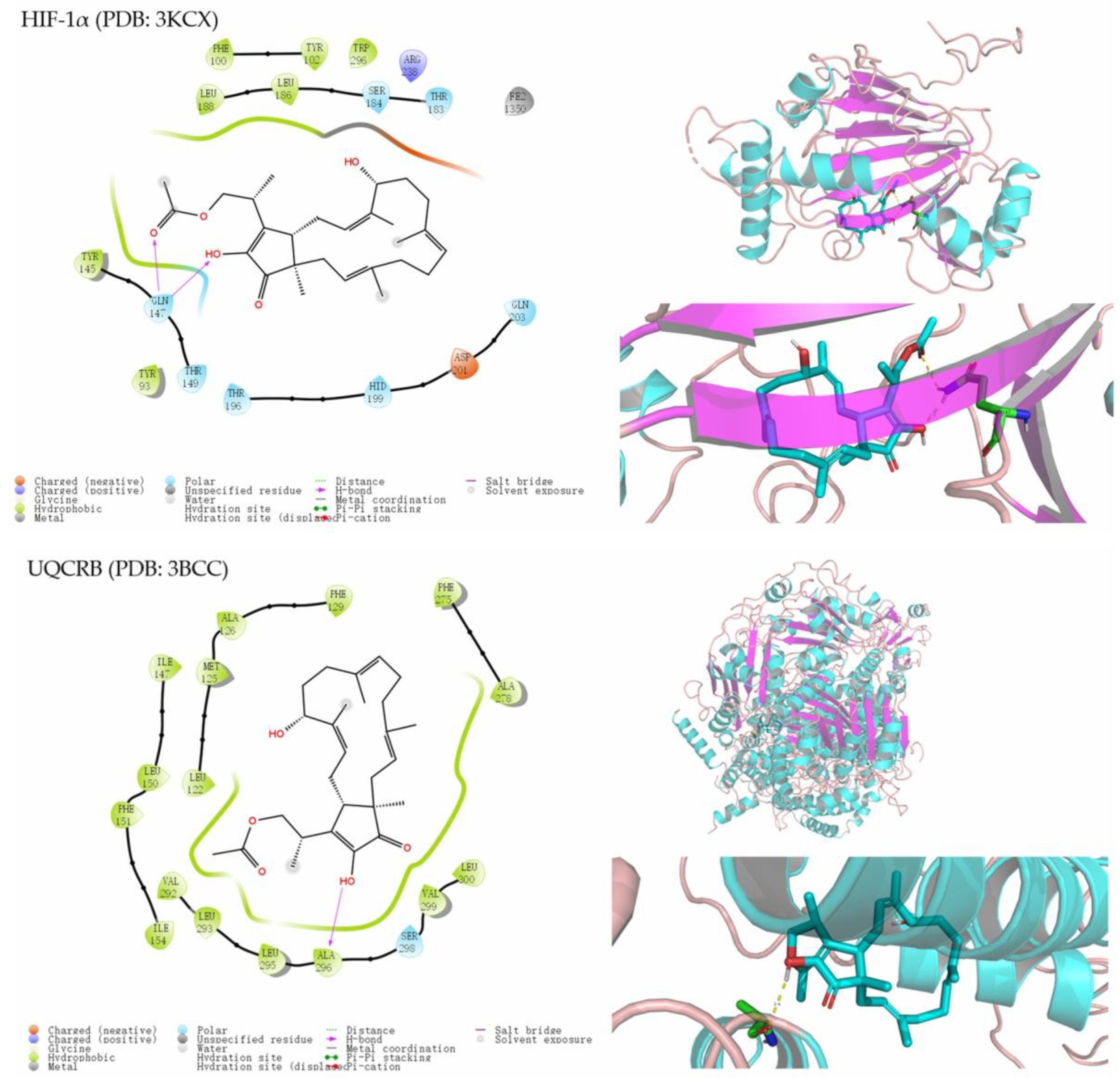 Molecules 28 07246 g005 Molecules 28 07246 g005