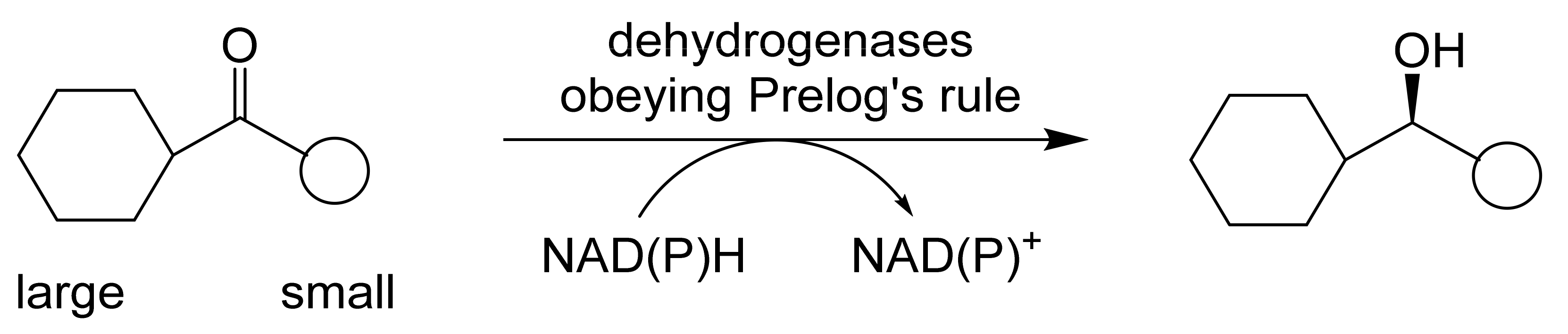 Molecules 28 07249 g005 Molecules 28 07249 g005