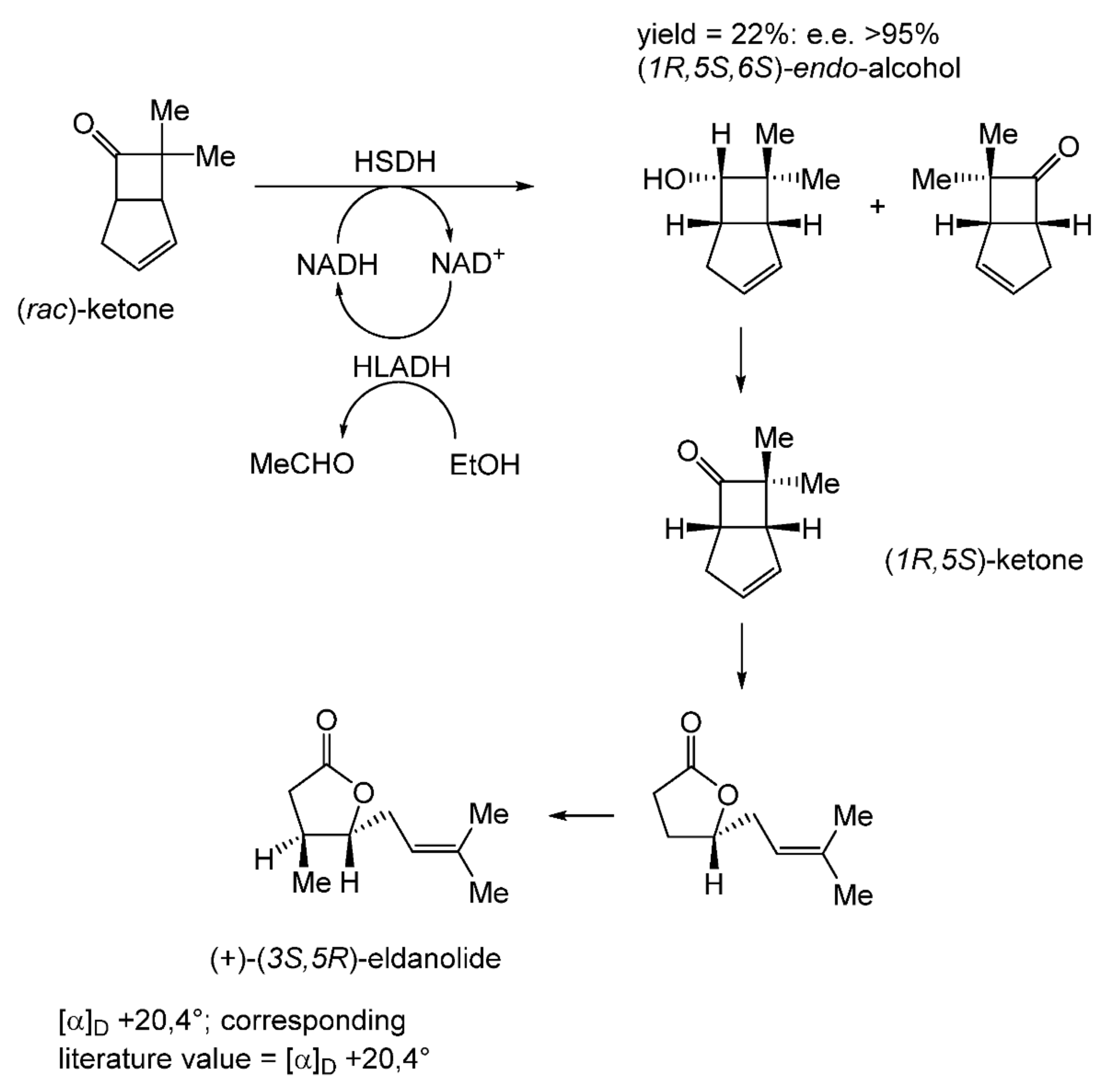 Molecules 28 07249 g009 Molecules 28 07249 g009