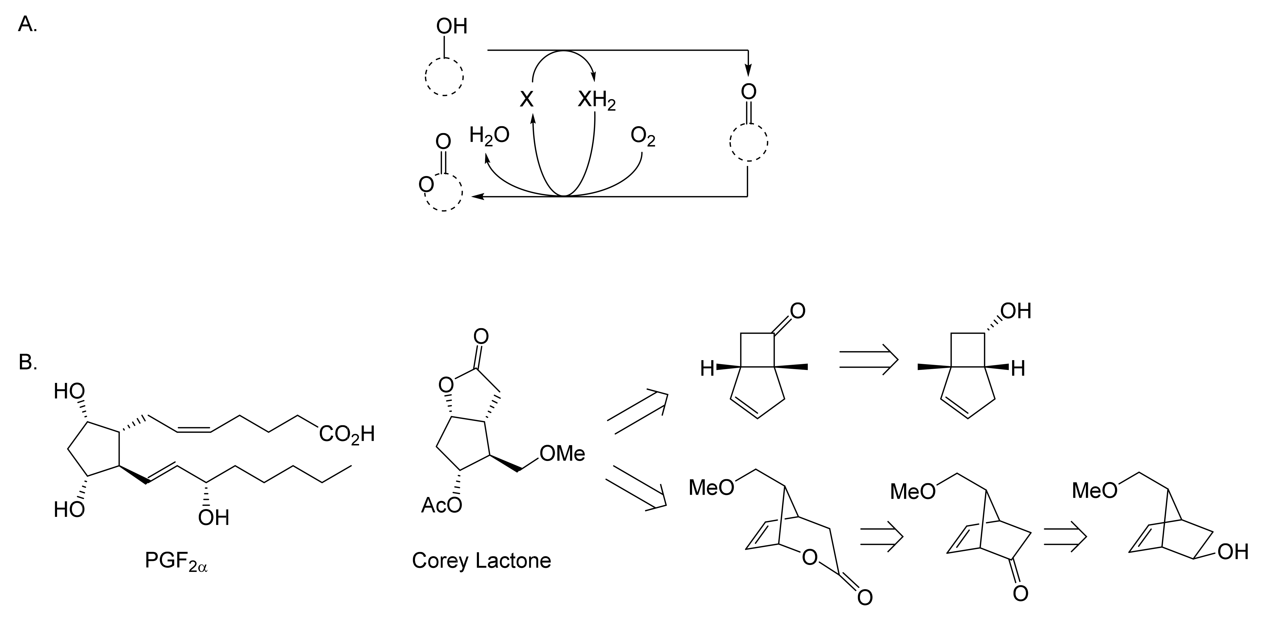 Molecules 28 07249 g010 Molecules 28 07249 g010