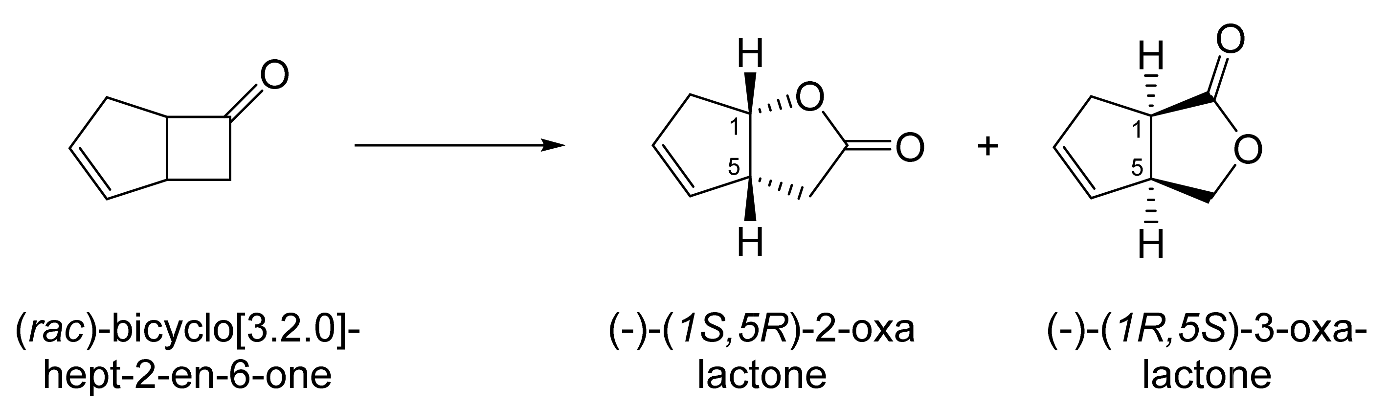 Molecules 28 07249 g012 Molecules 28 07249 g012
