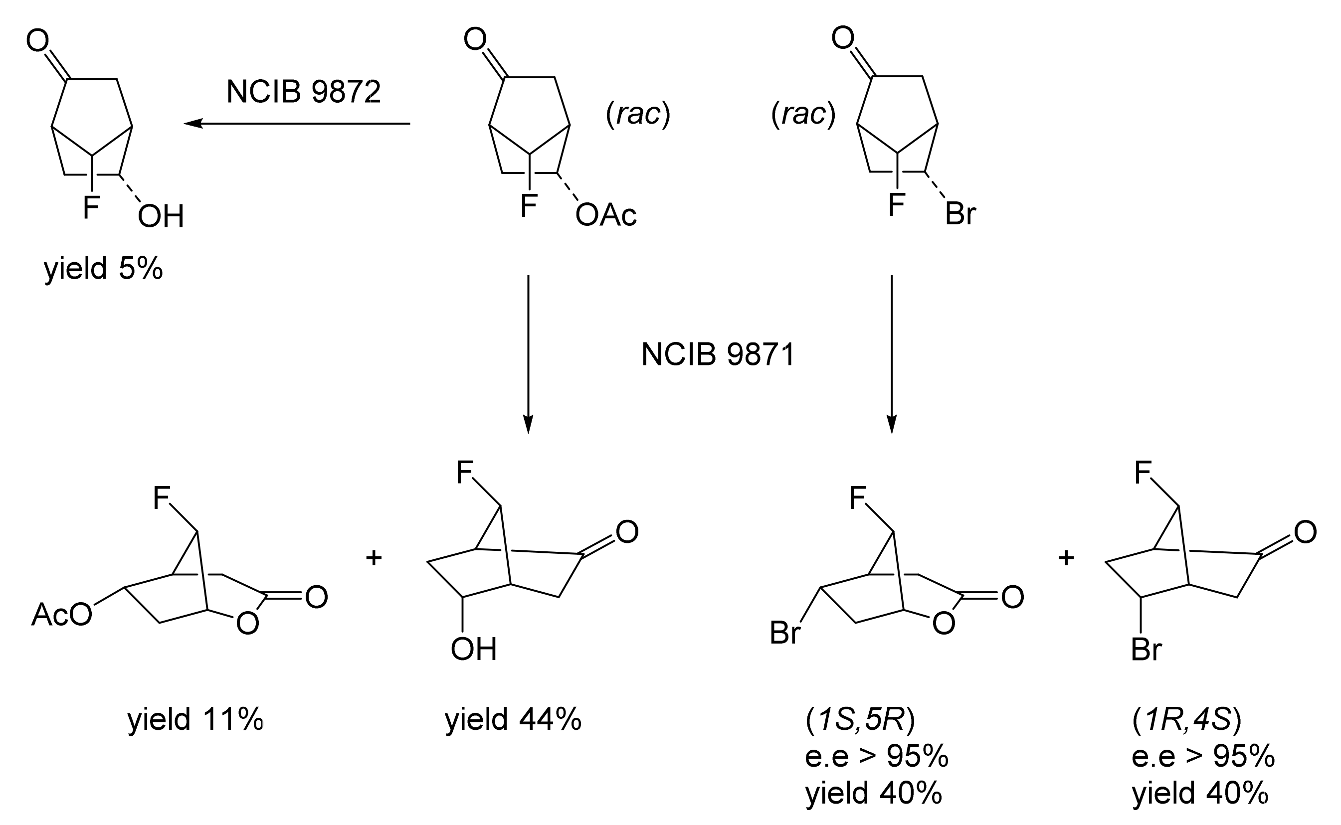 Molecules 28 07249 g013 Molecules 28 07249 g013