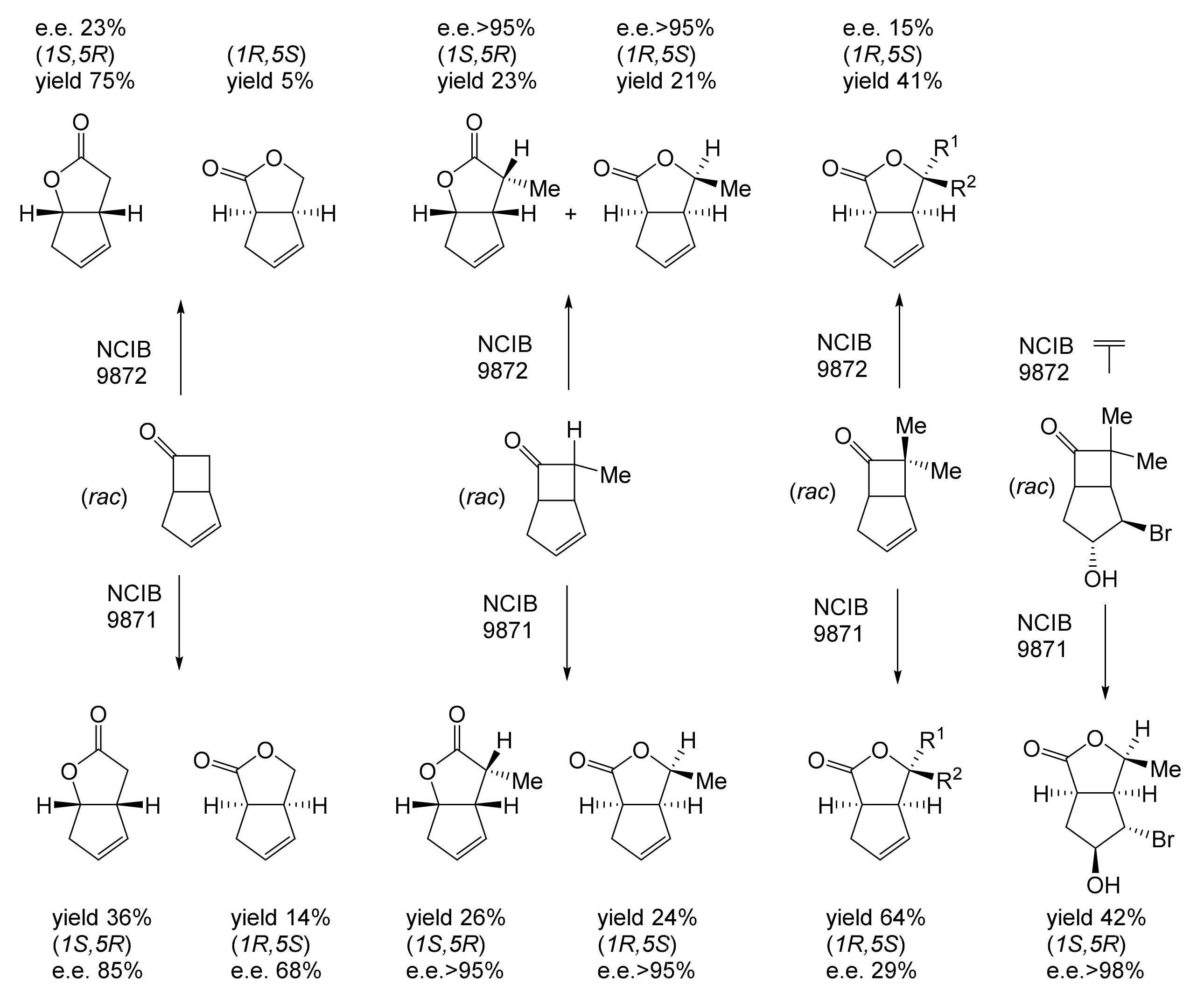 Molecules 28 07249 g014 Molecules 28 07249 g014