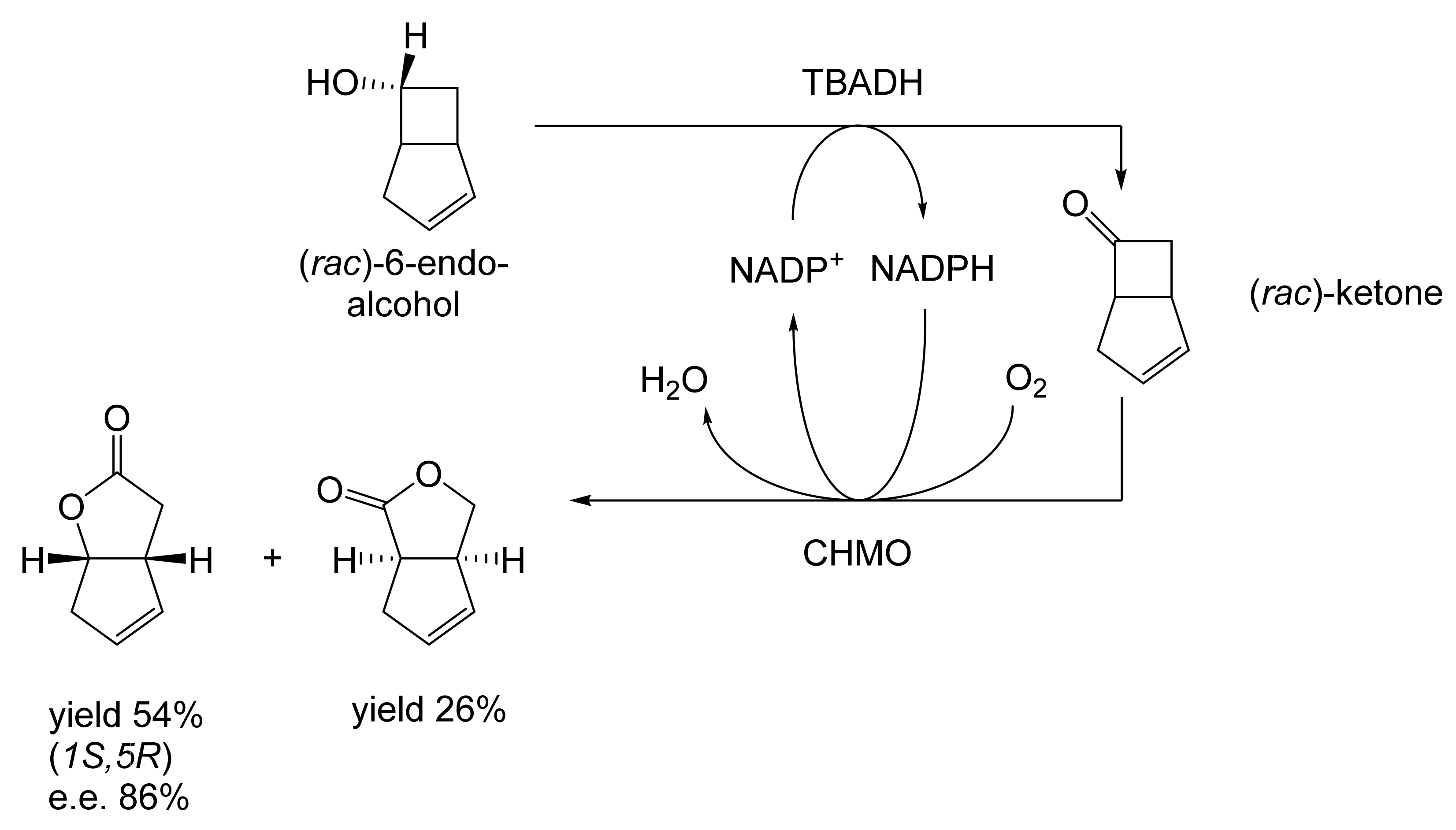 Molecules 28 07249 g015 Molecules 28 07249 g015